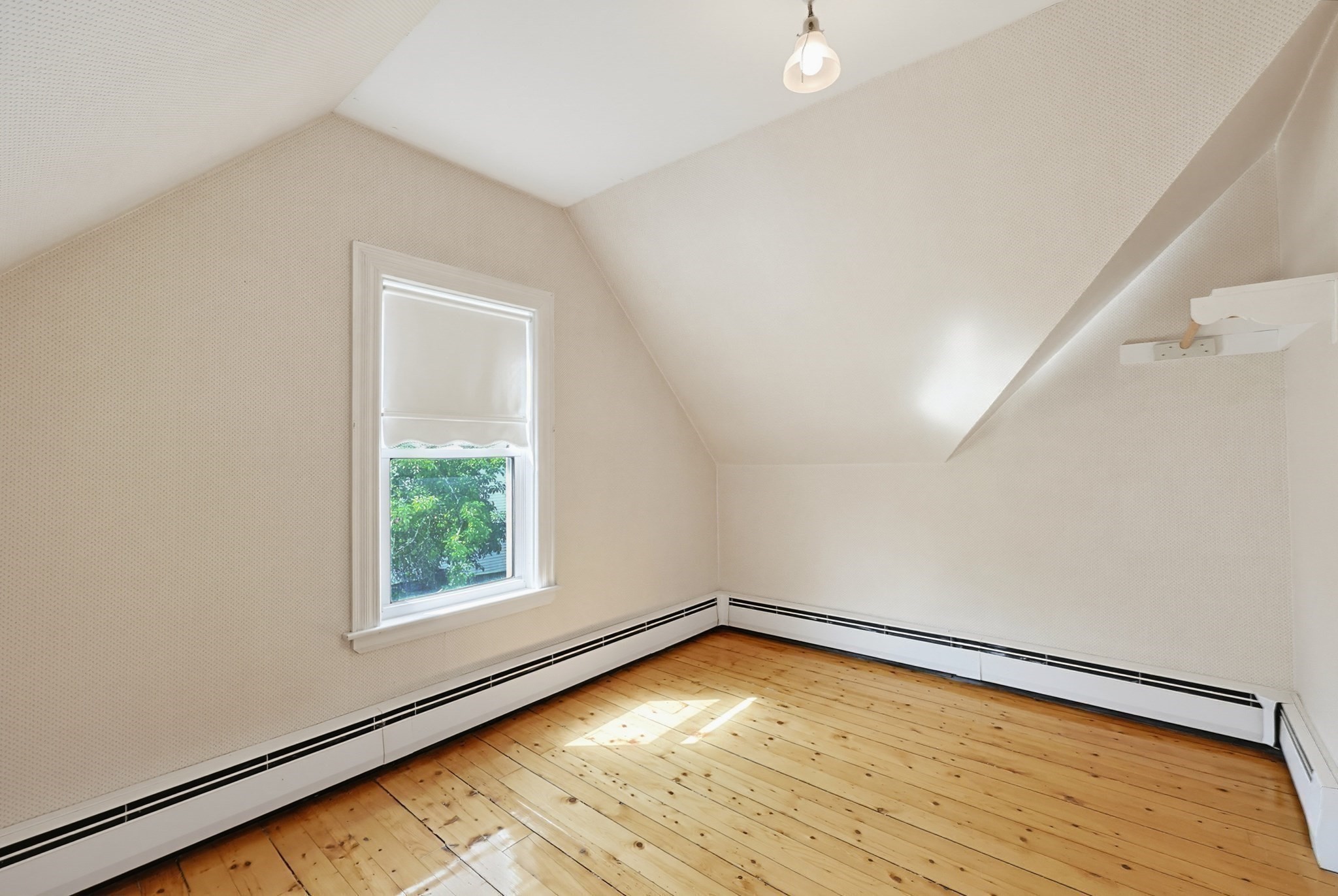 22 Hodges St Property Photo 29