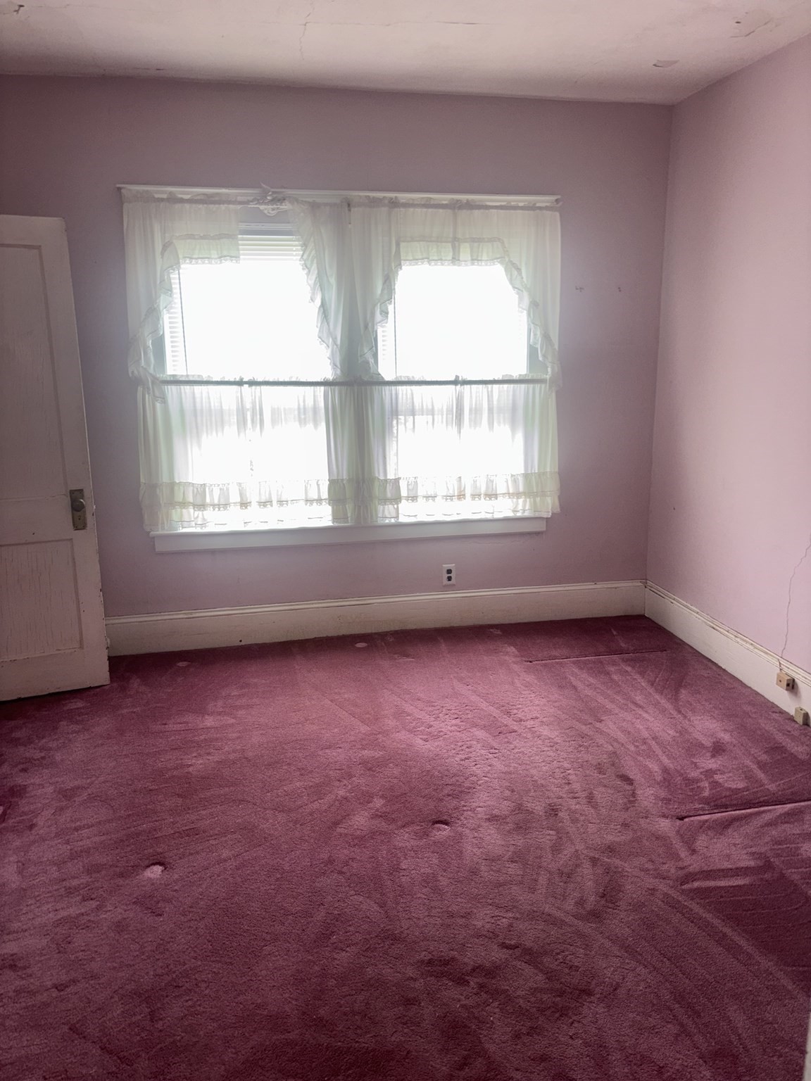 48 Gertrude Ave Property Photo 5