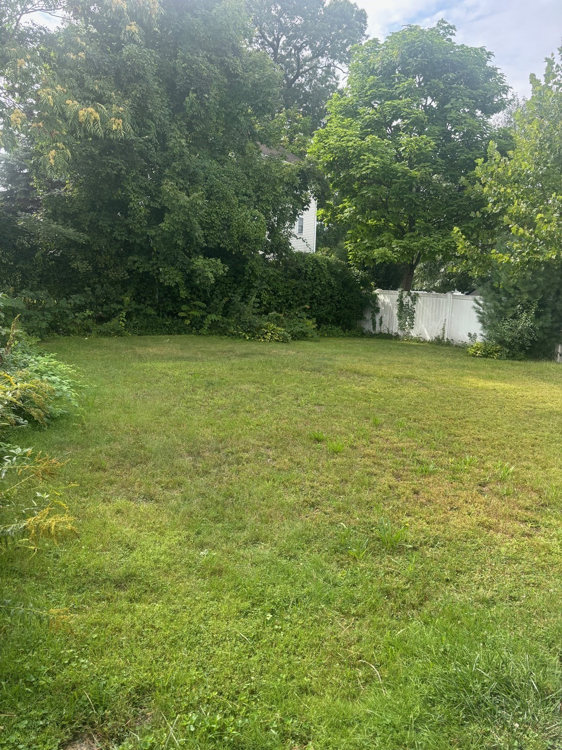 48 Gertrude Ave Property Photo 35
