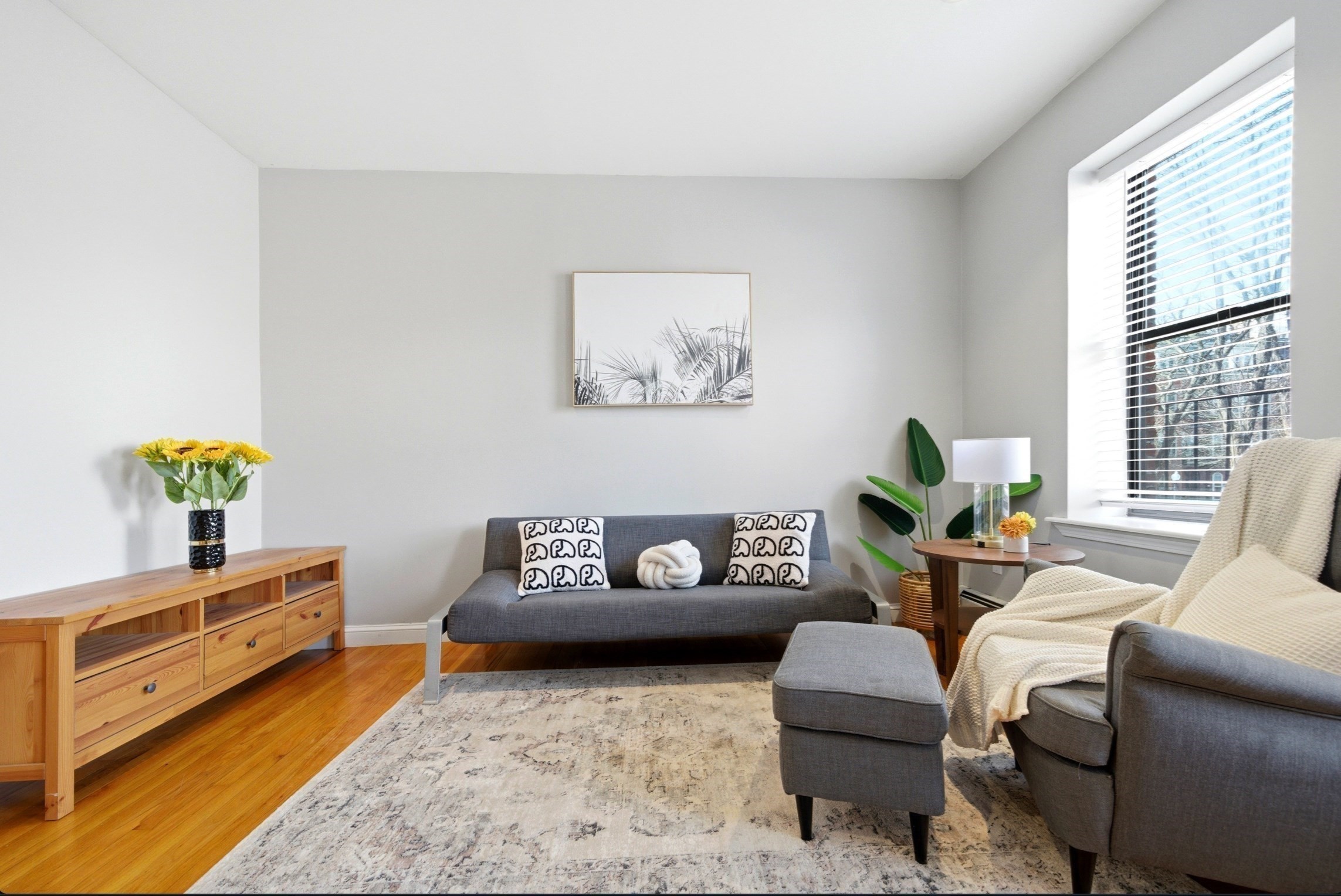 469 Shawmut Ave # 1 Property Photo 5