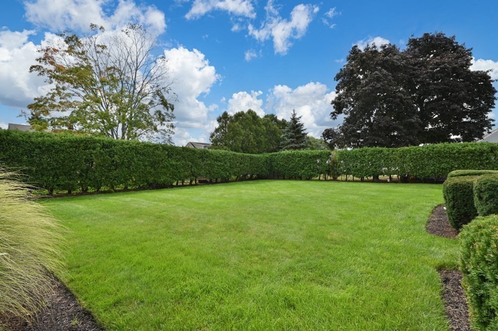 8 Irving St Property Photo 36