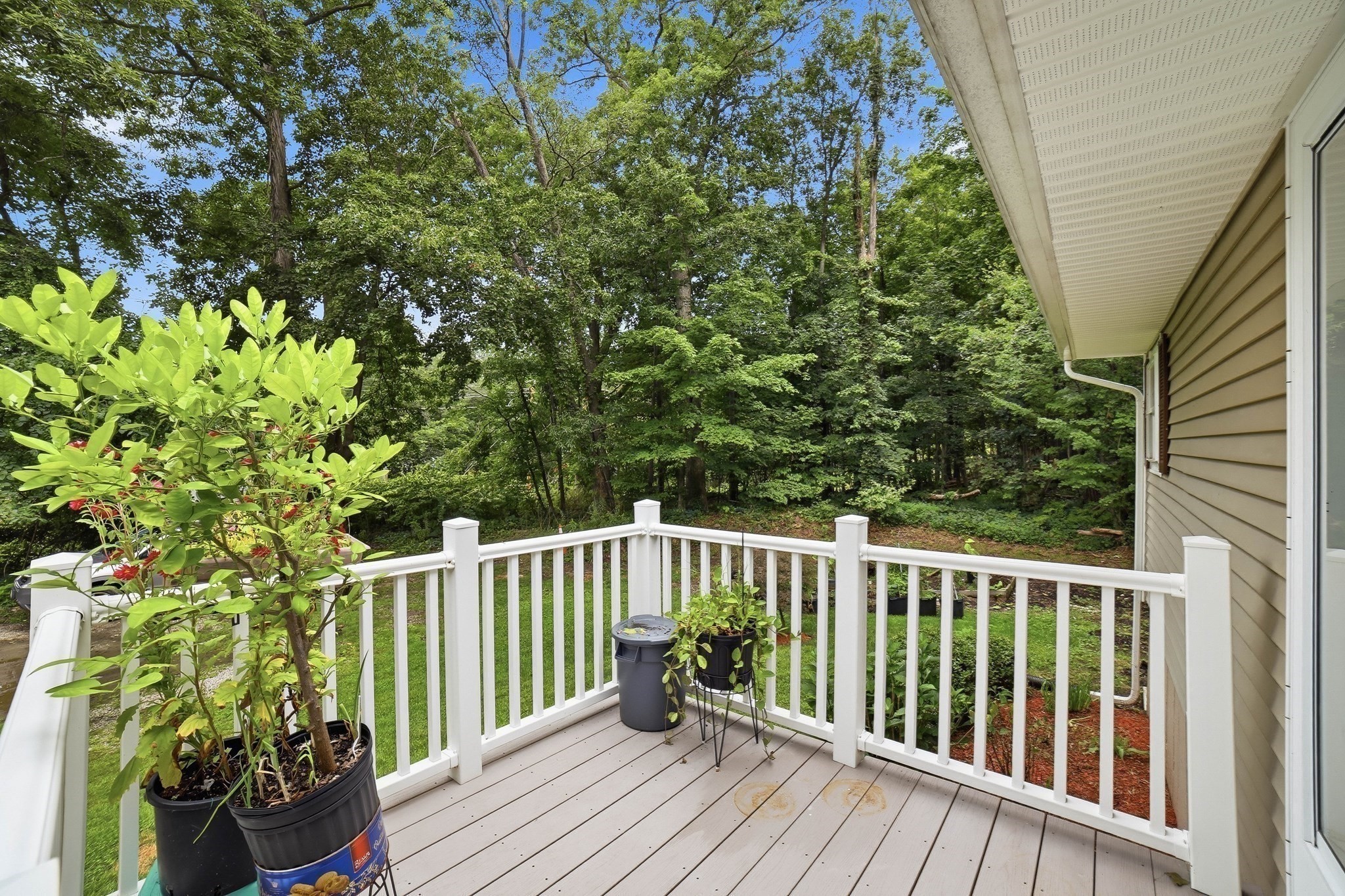 48 Sorrento St Property Photo 5