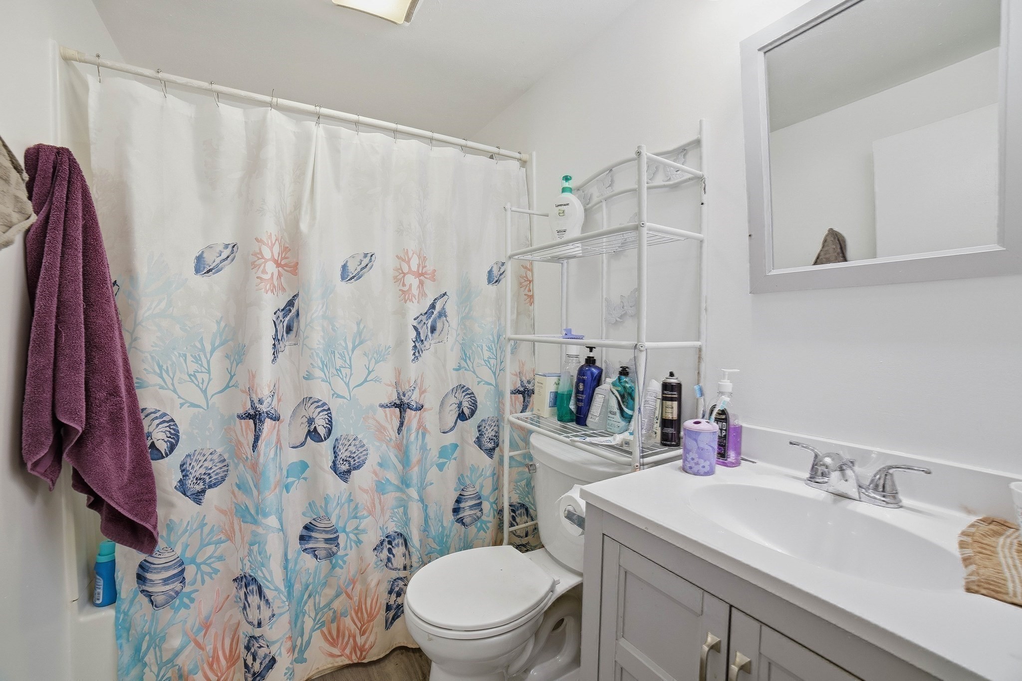 48 Sorrento St Property Photo 15