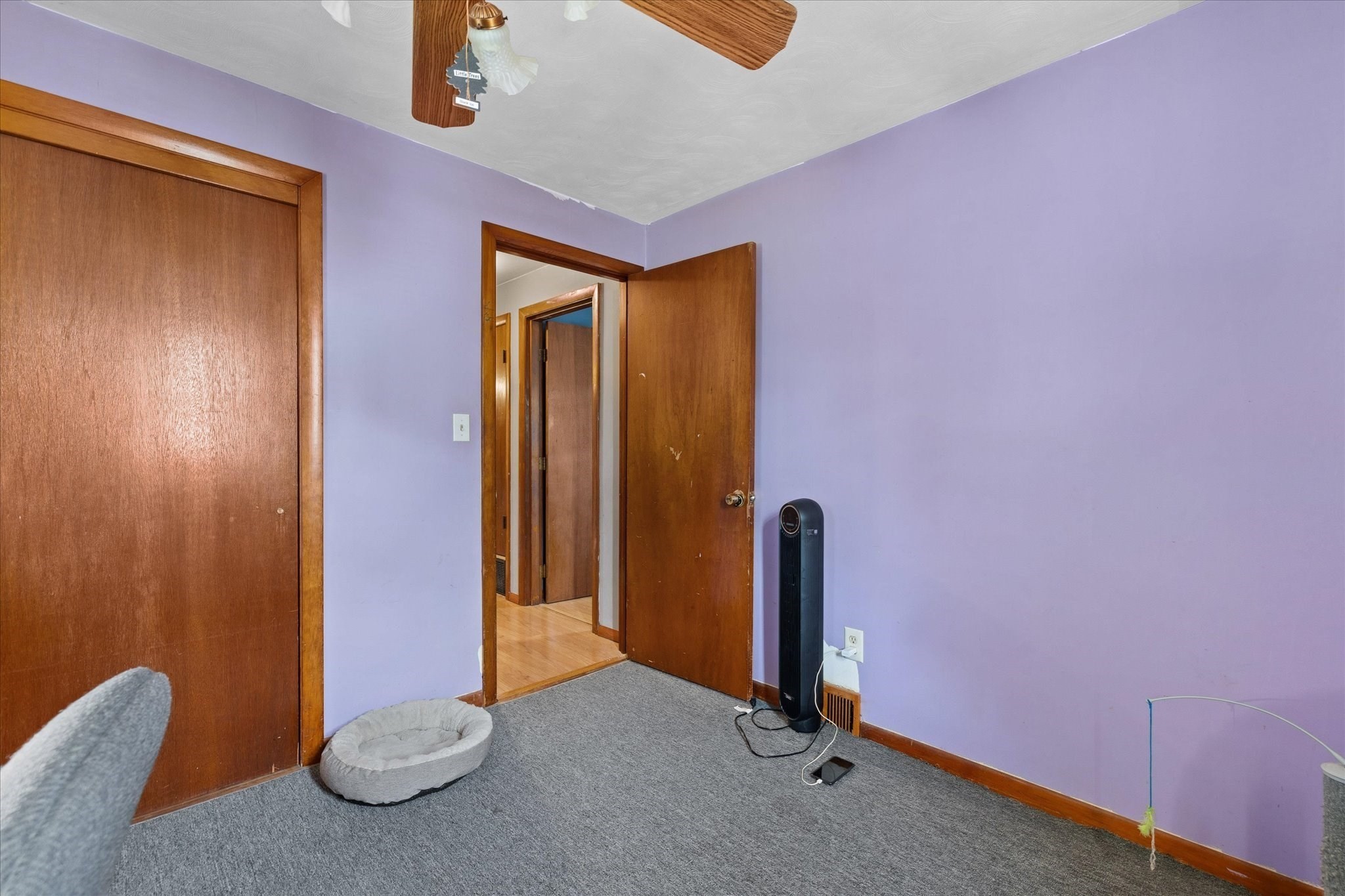 210 Stafford Street Property Photo 18