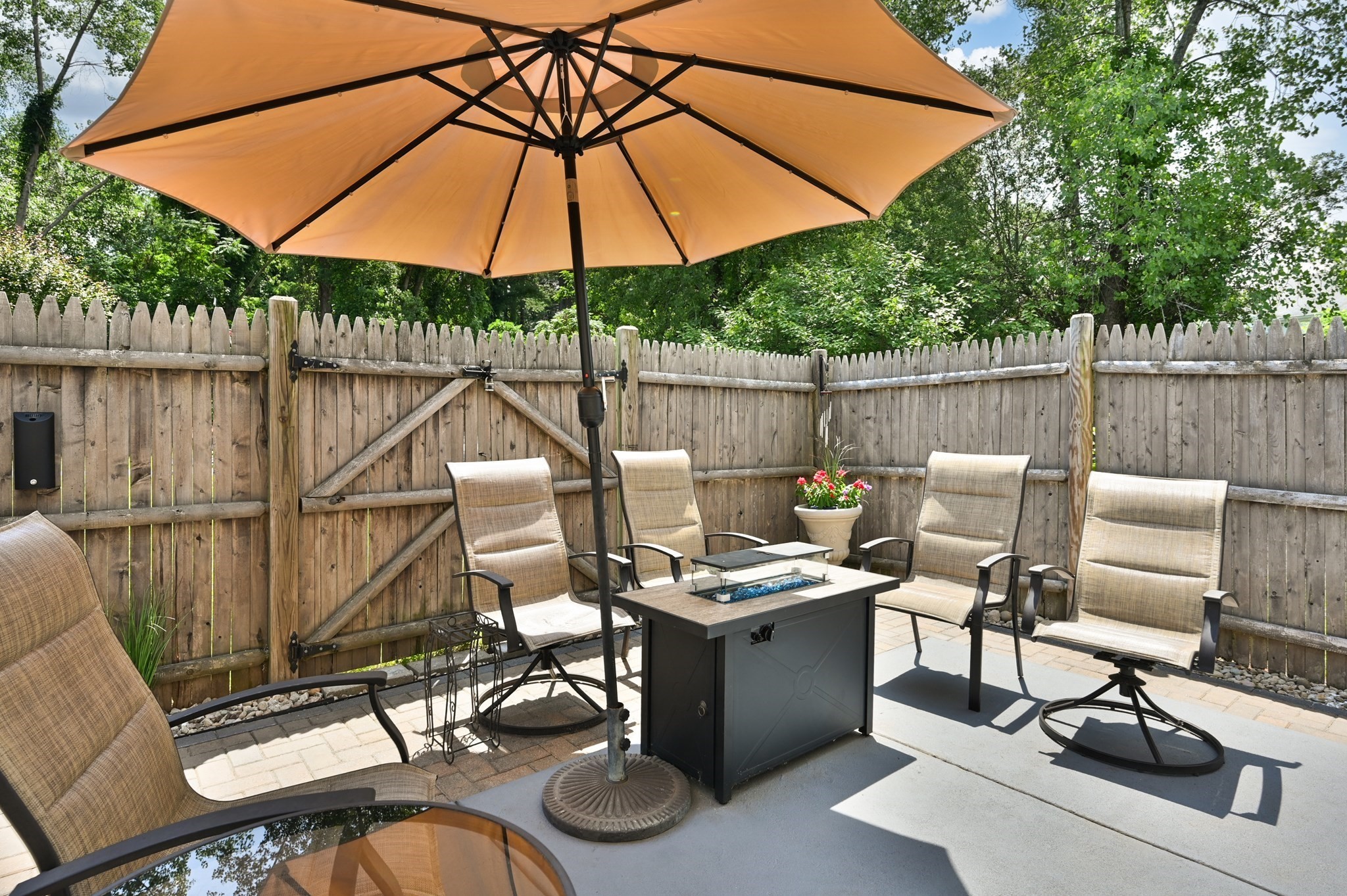 3 Elginwood Road # A Property Photo 29