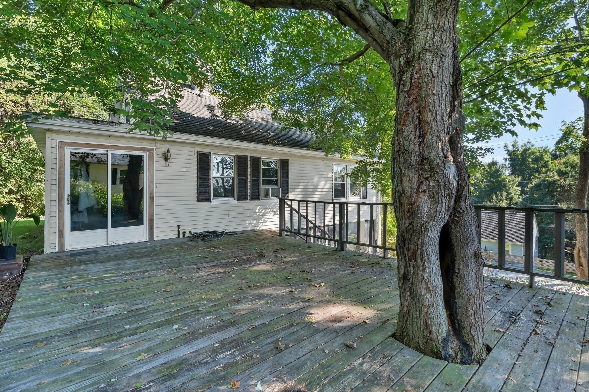12 South Street Property Photo 5