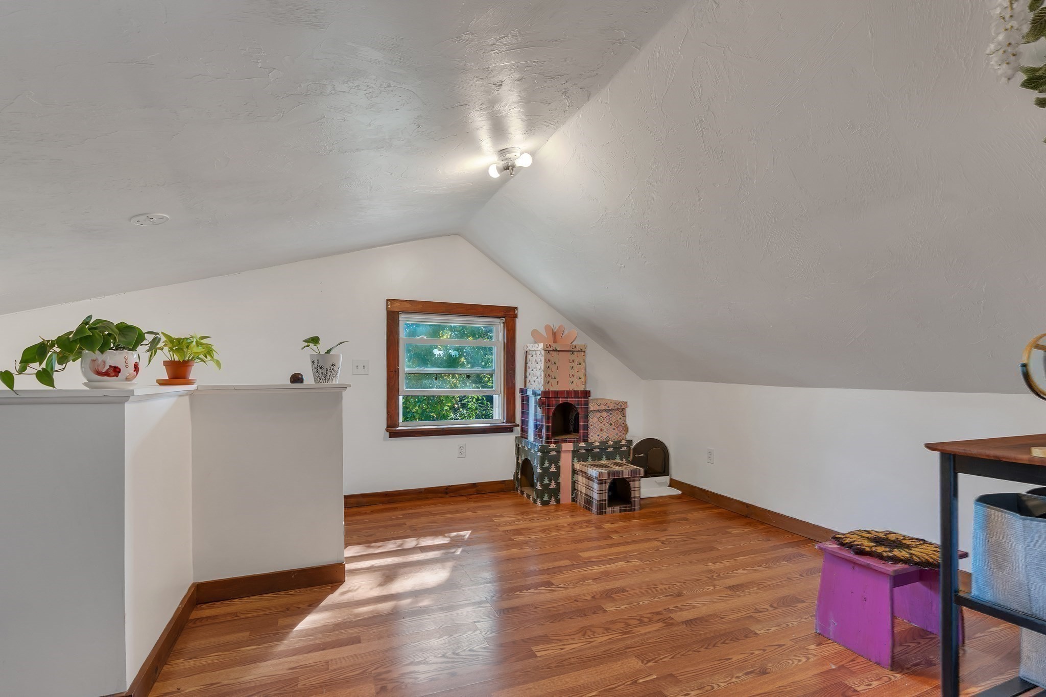12 South Street Property Photo 24