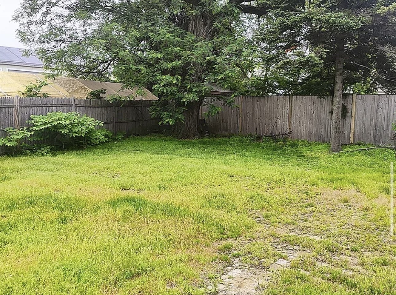 23 Dexter Street Property Photo 15
