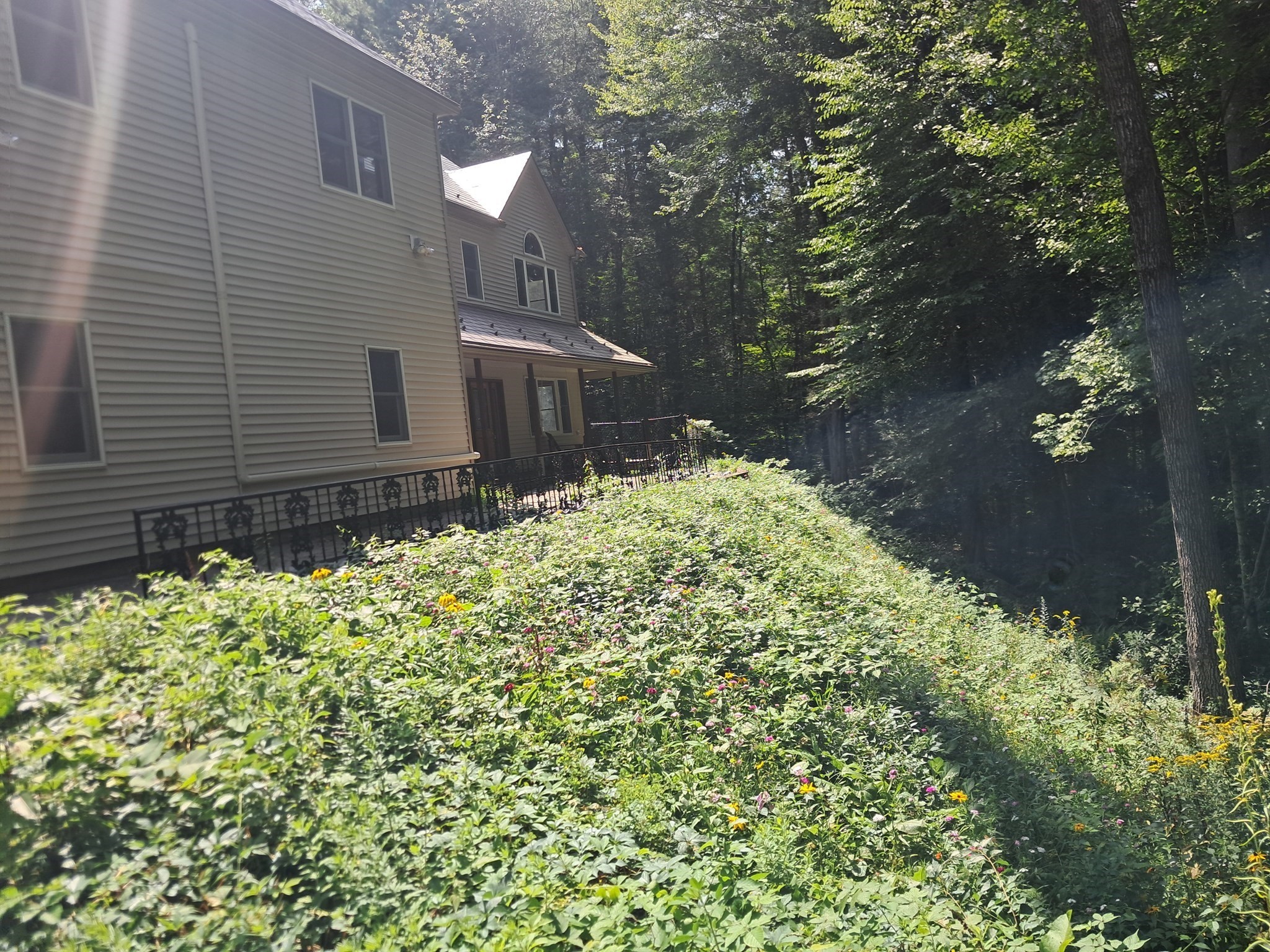55 Howard St Property Photo 4