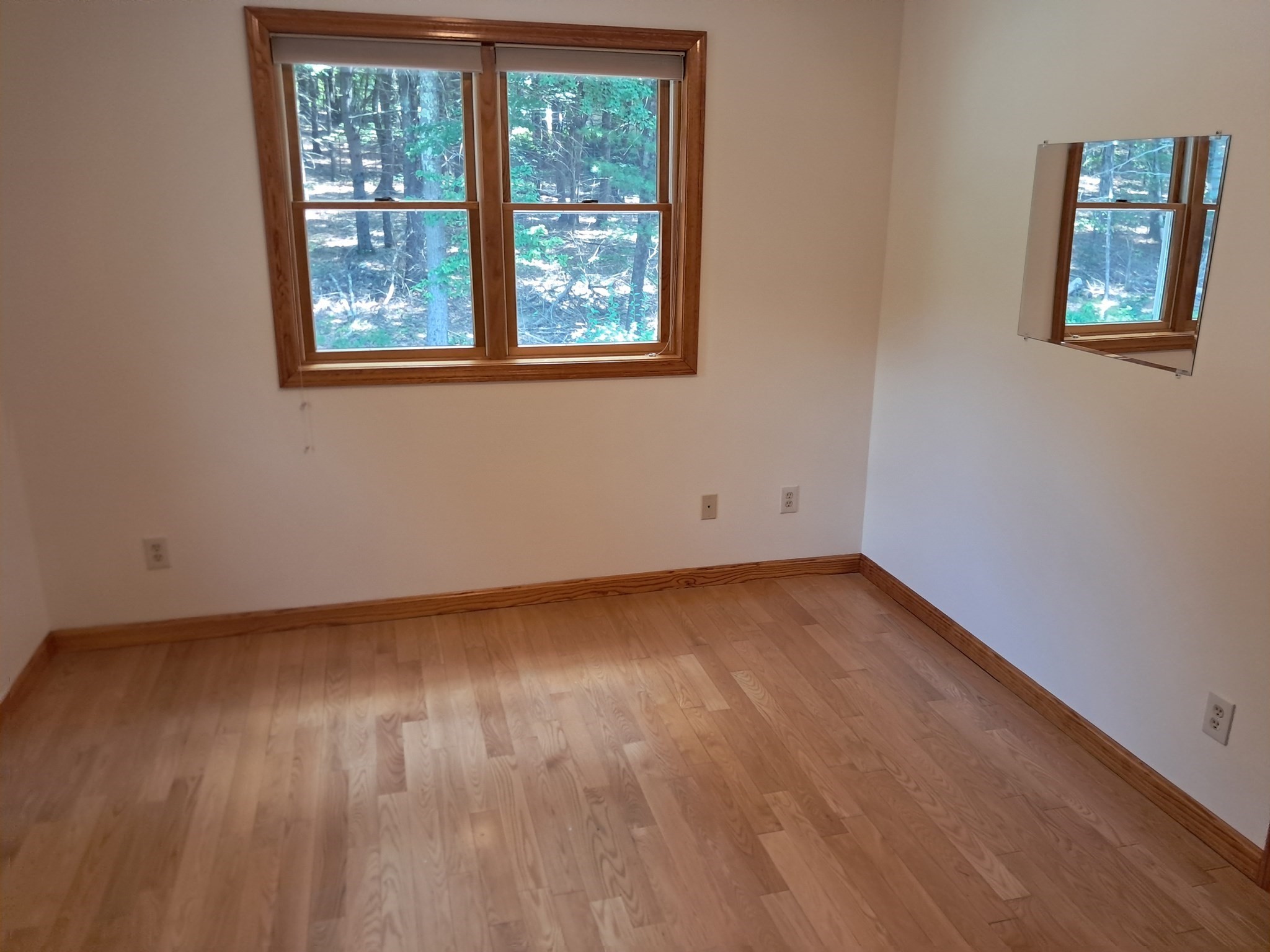 55 Howard St Property Photo 21