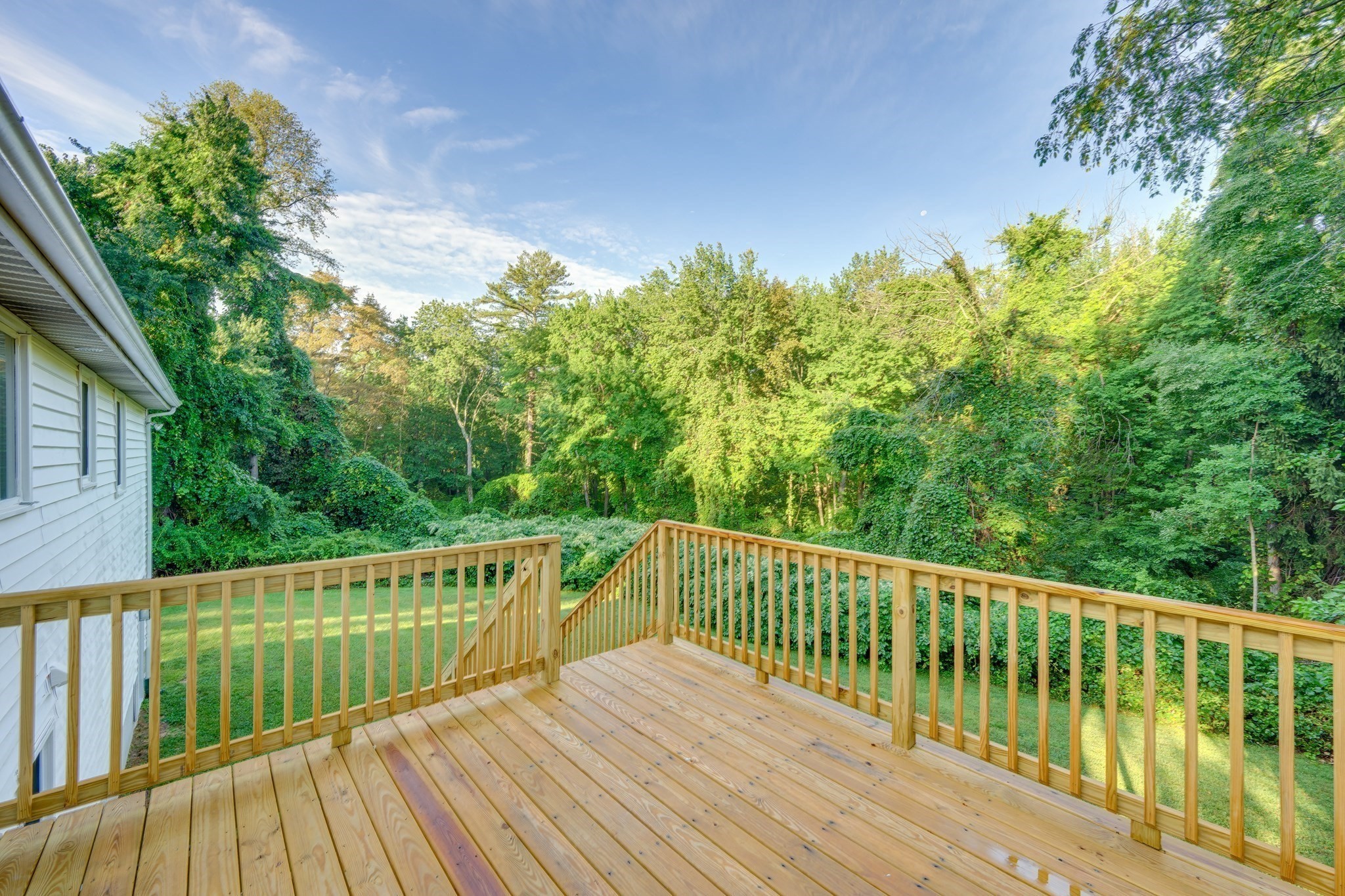 32 Thicket St Property Photo 16