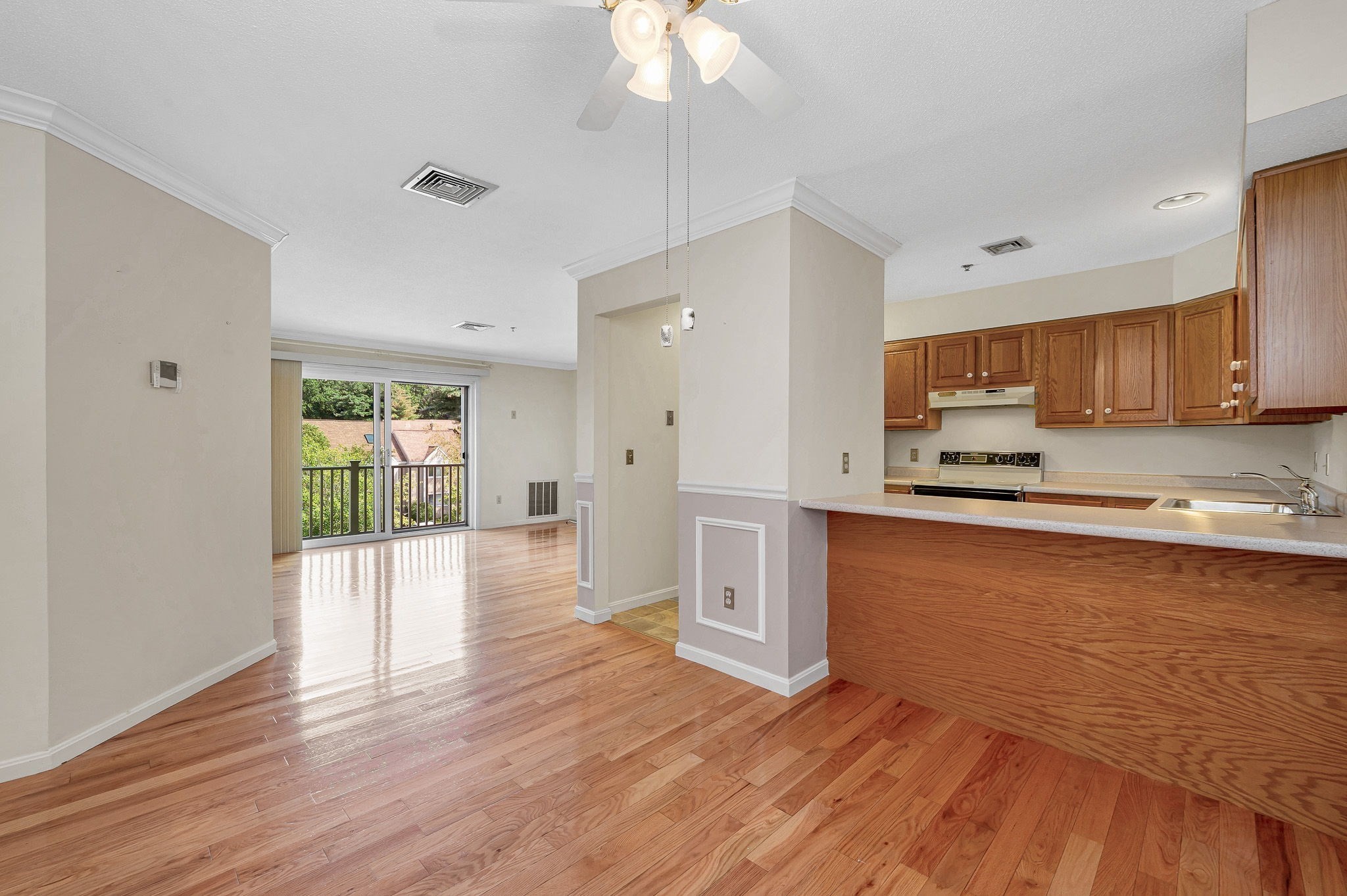 102 Hunter's Run # 102 Property Photo 6
