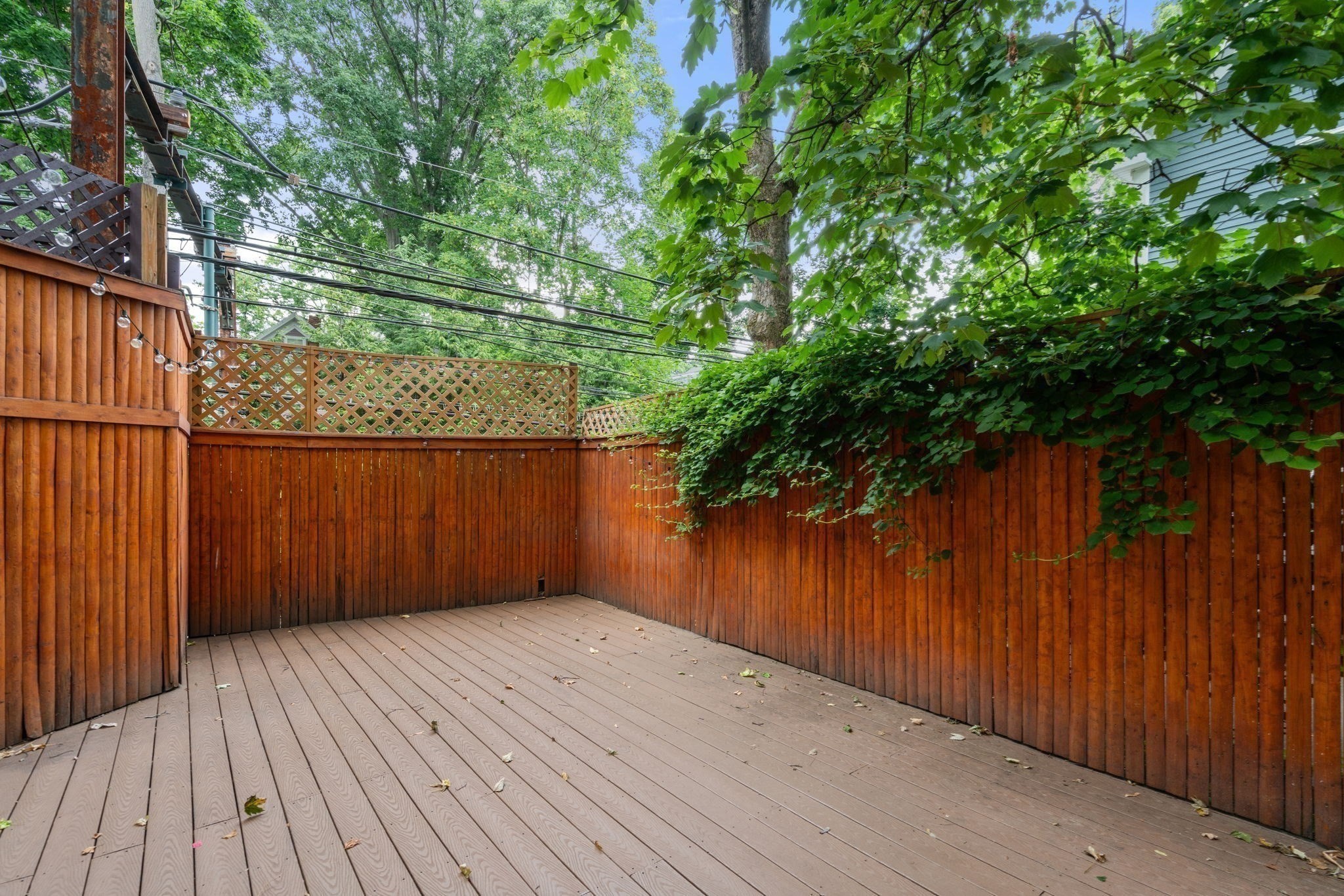 50 Cameron Street Property Photo 20