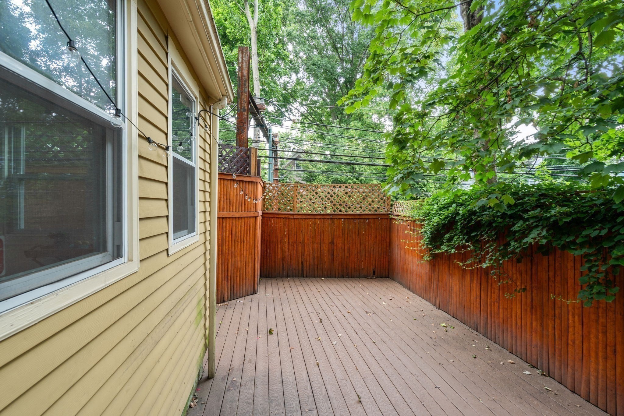50 Cameron Street Property Photo 21