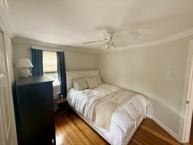 216 Pond Street # 2 Property Photo 12