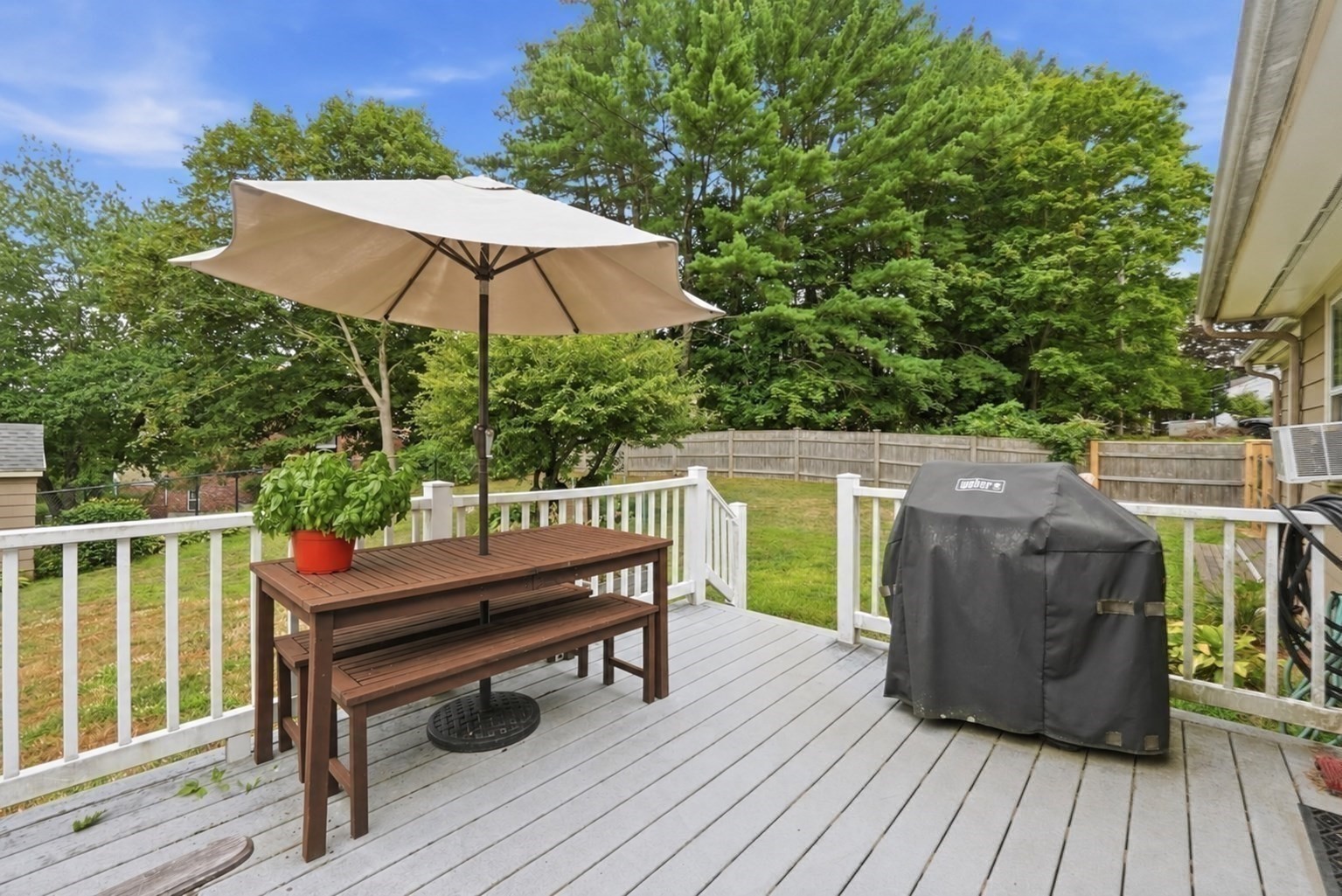 12 Summer Hill Rd Property Photo 38