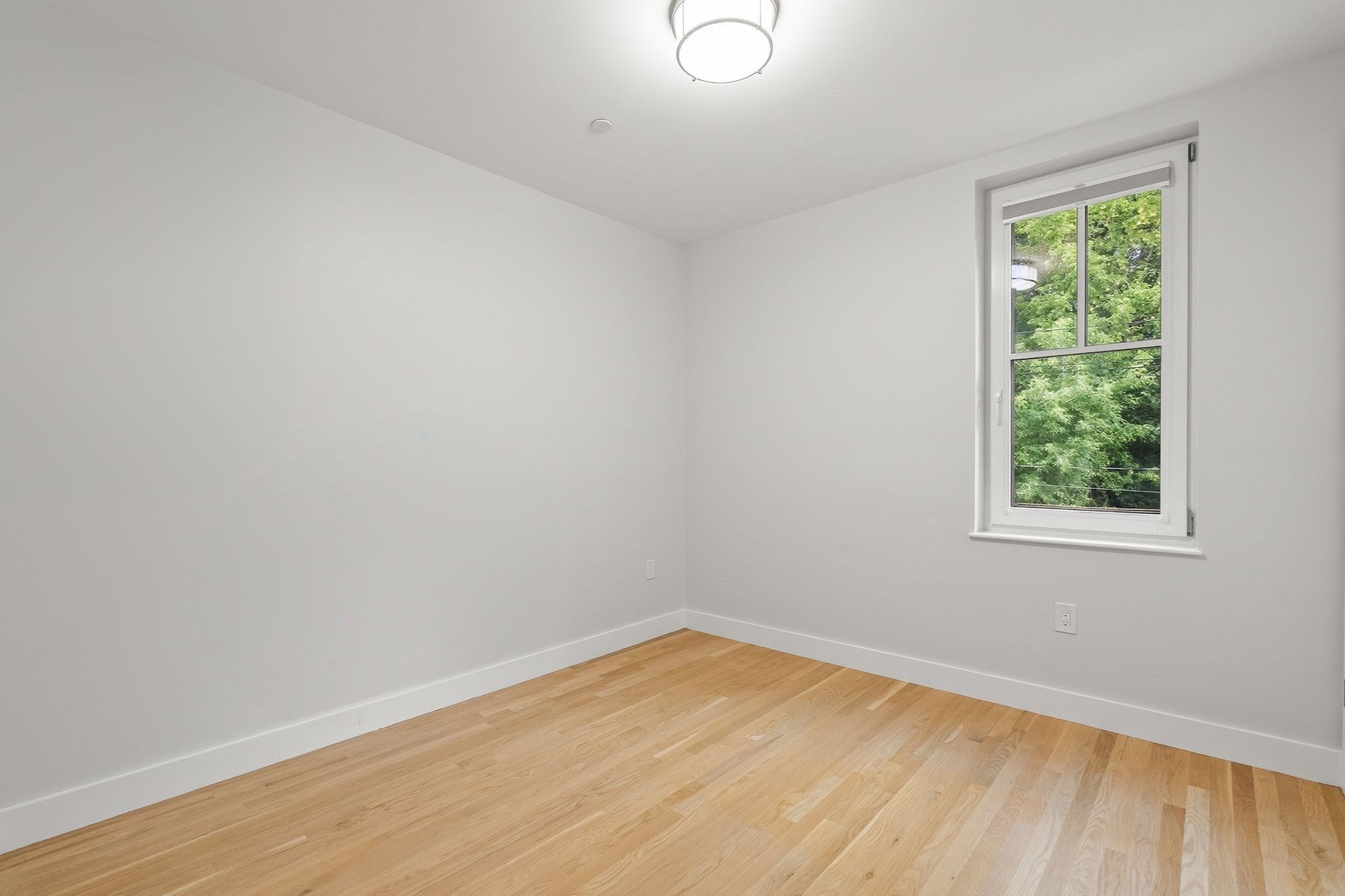 52 Fisher Avenue # 302 Property Photo 20