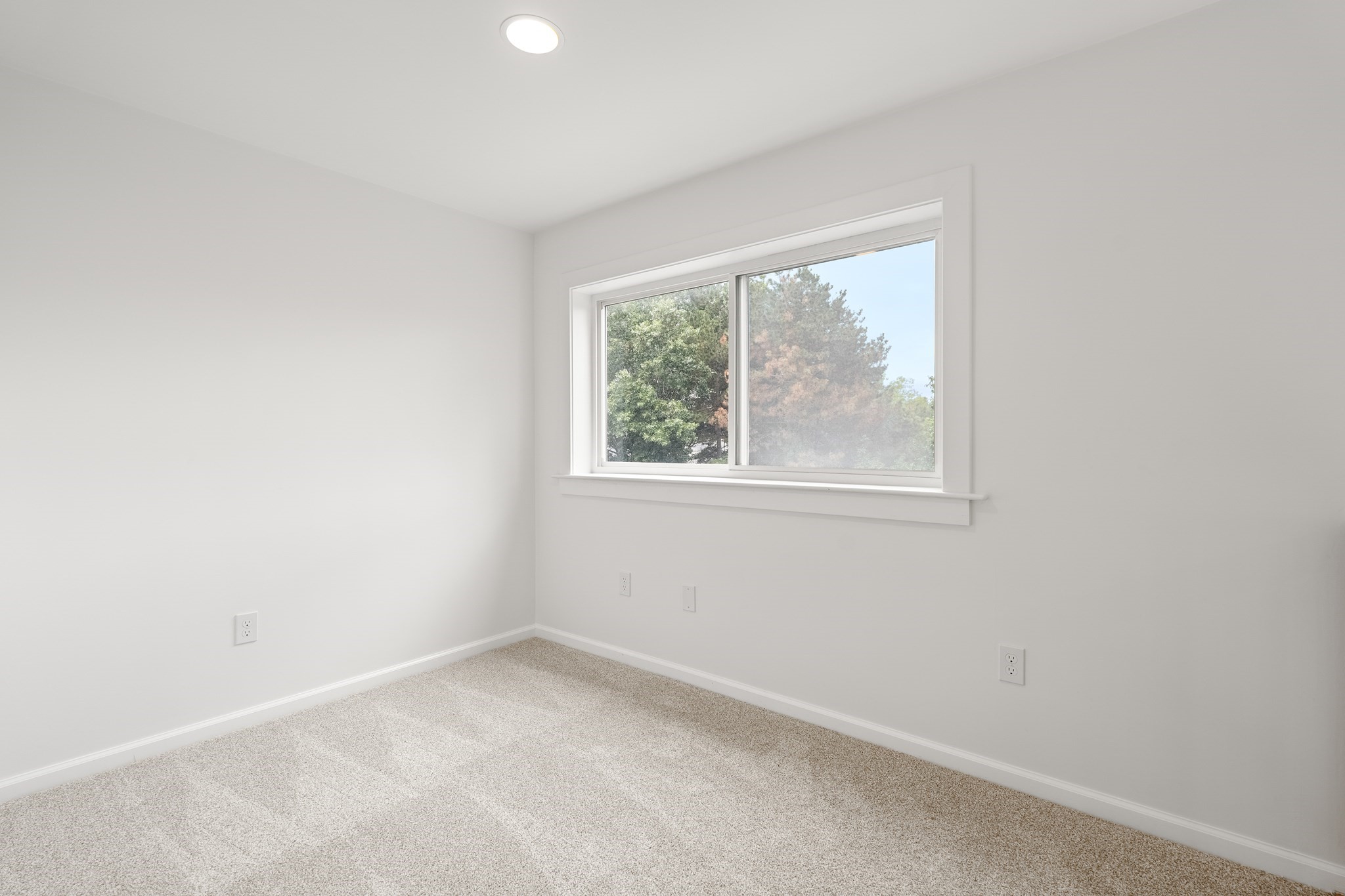 24 Glenwood Avenue # 3 Property Photo 30