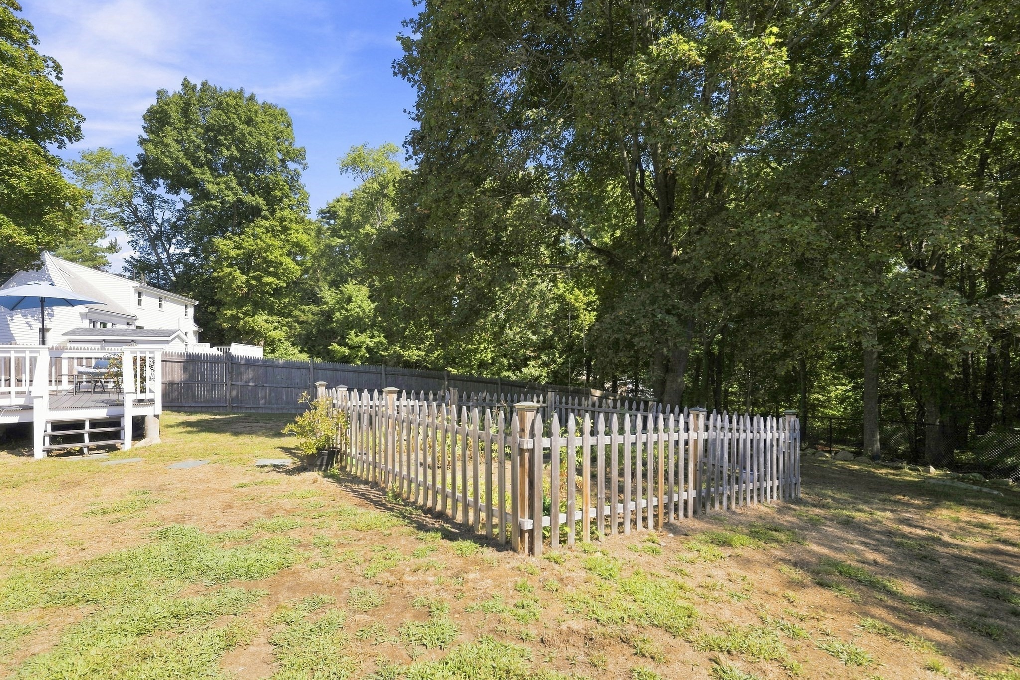 446 Pine St Property Photo 32