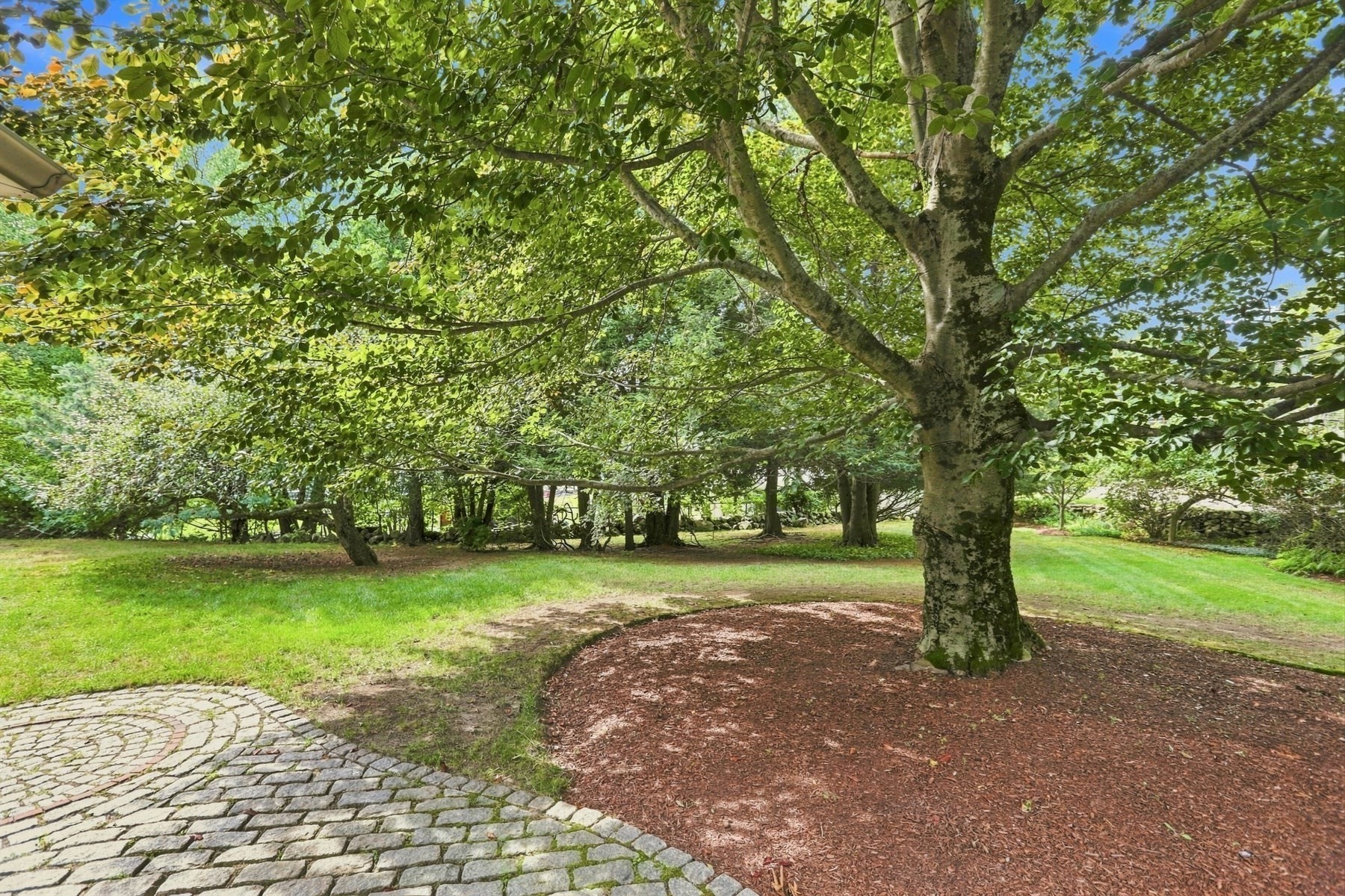 114 Chestnut Street Property Photo 4