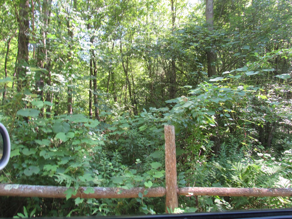 217 Grove St Property Photo 21