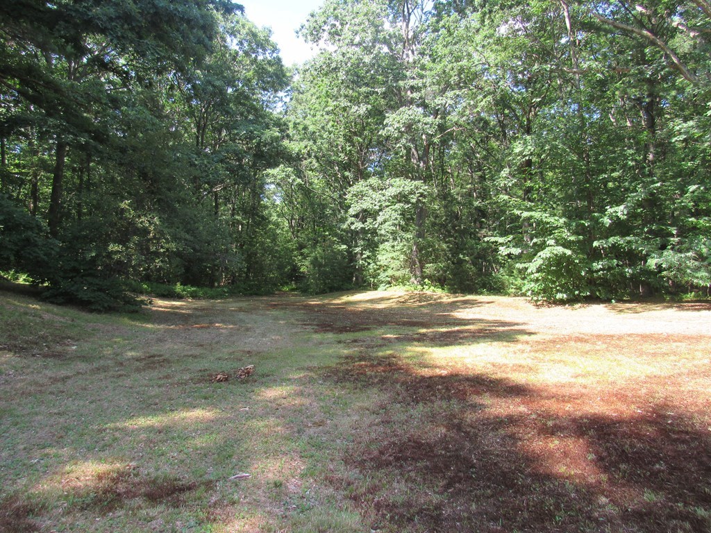 217 Grove St Property Photo 23