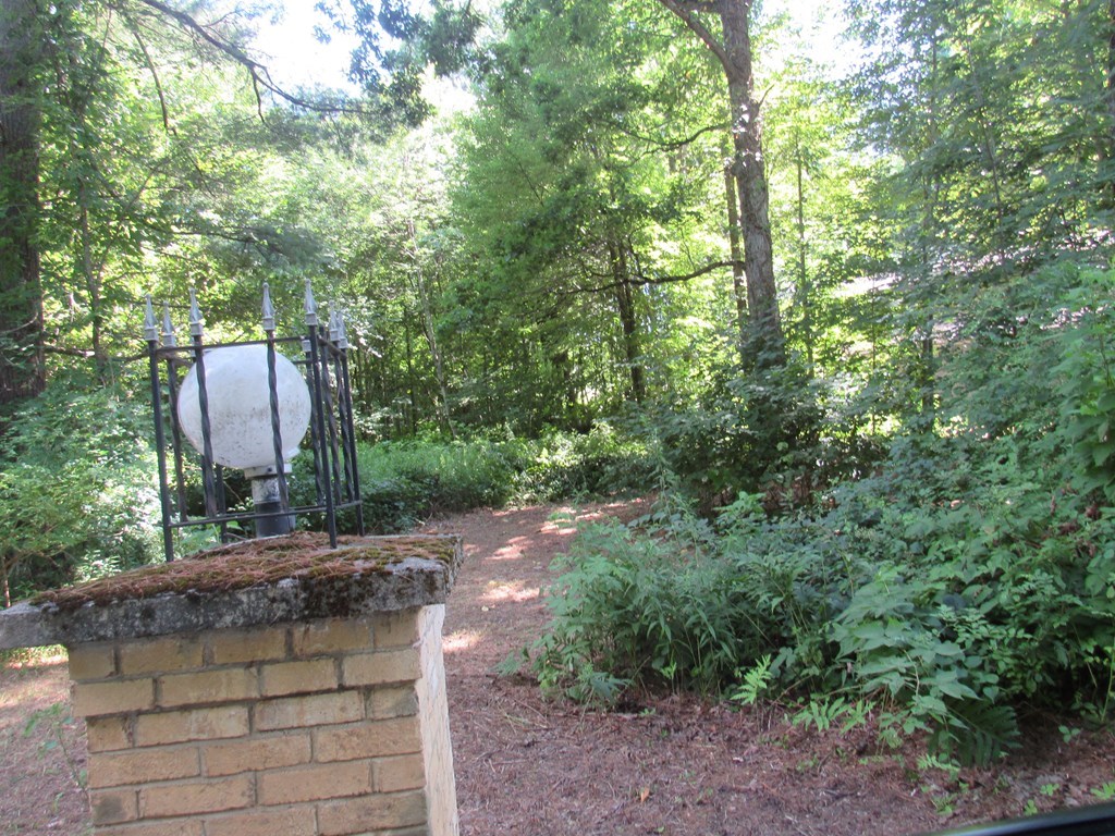 217 Grove St Property Photo 28