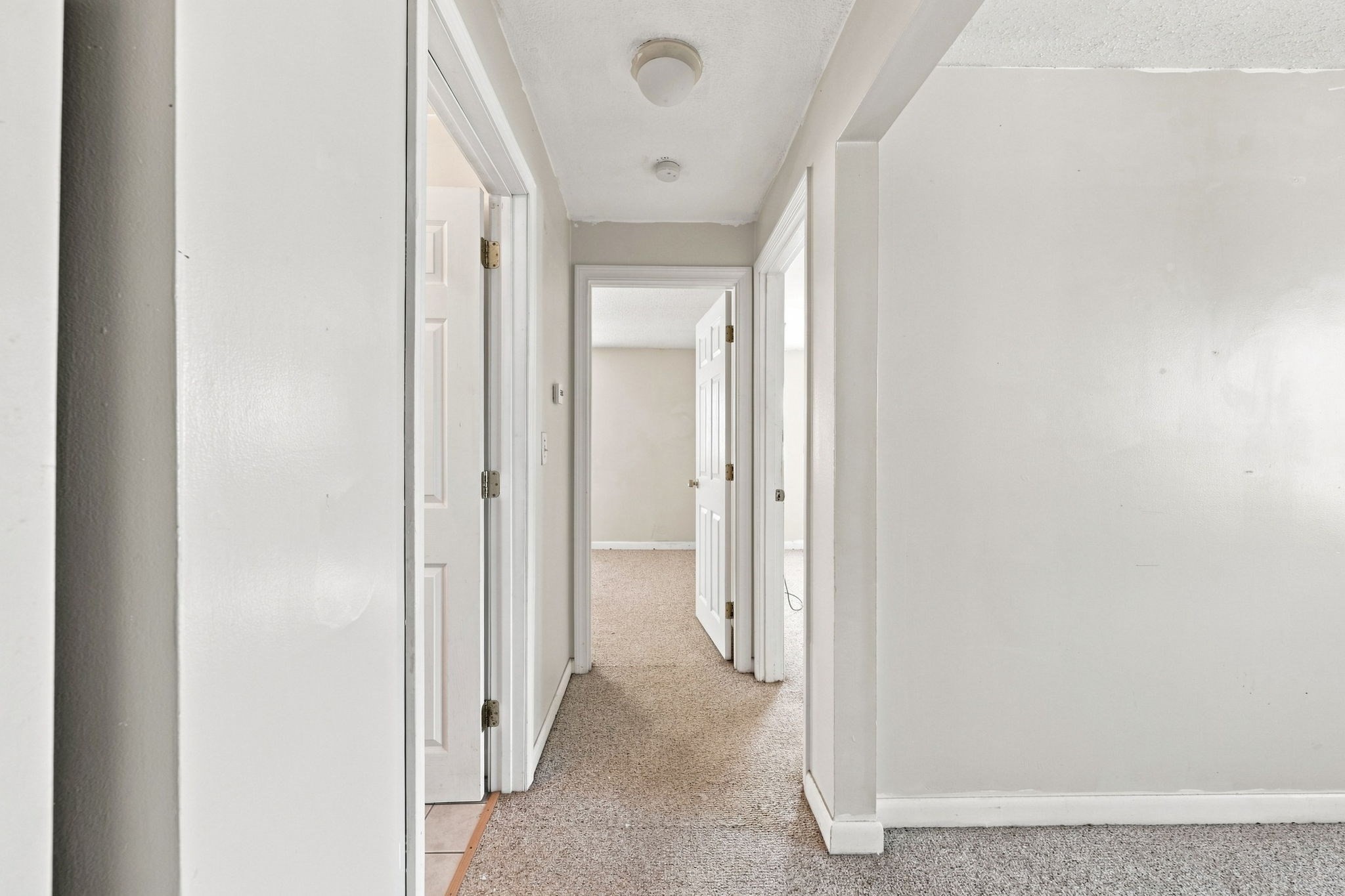 243 Robeson St # 6 Property Photo 10