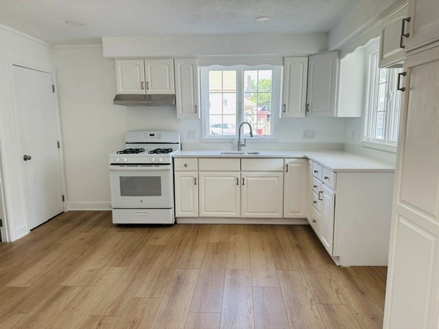 159 Ludlam St Property Photo 11