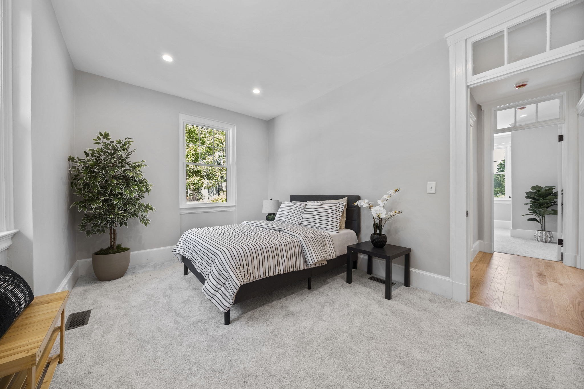 4 Marconi Lane Property Photo 19