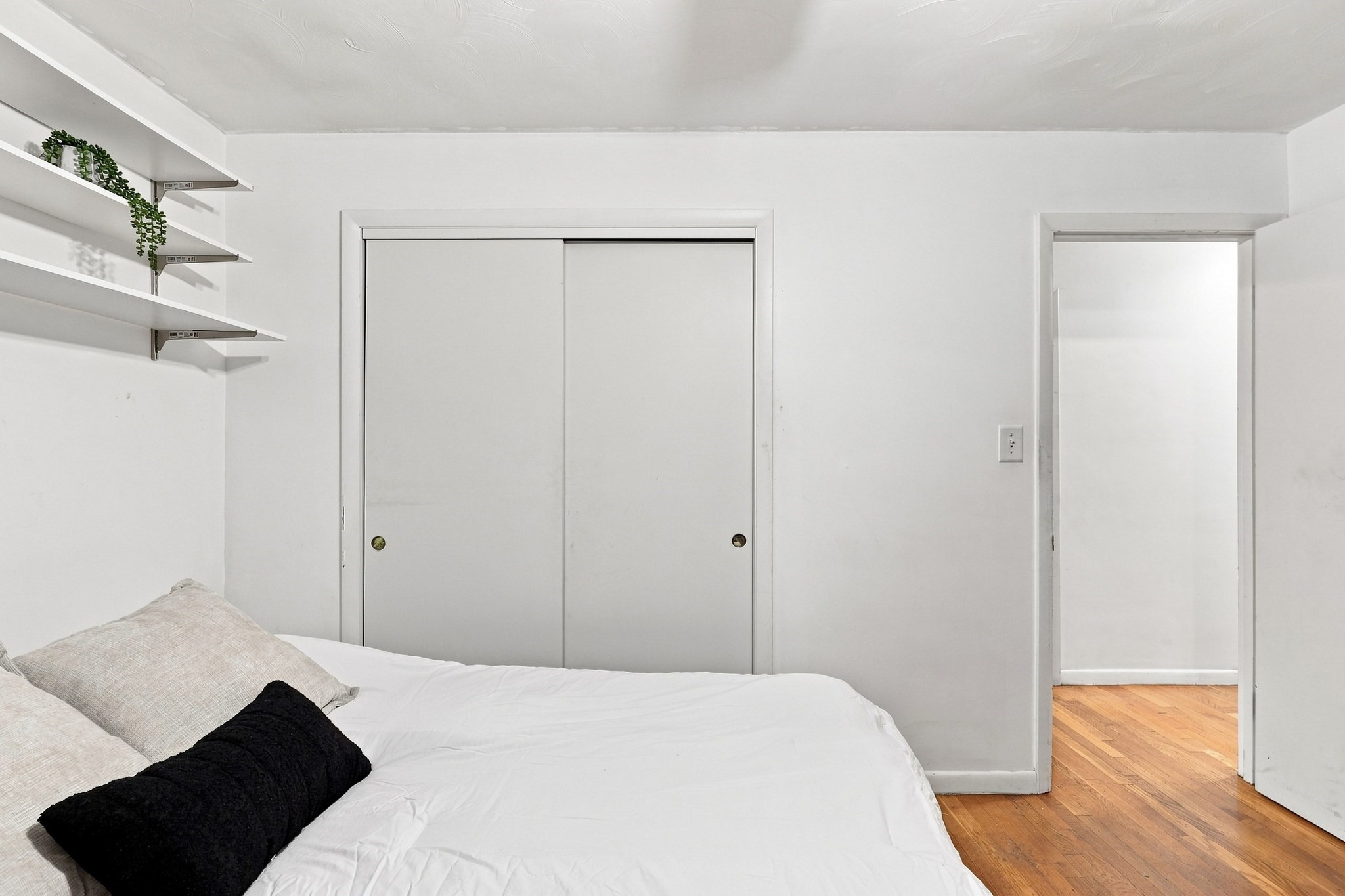 65 Harold Street Property Photo 17