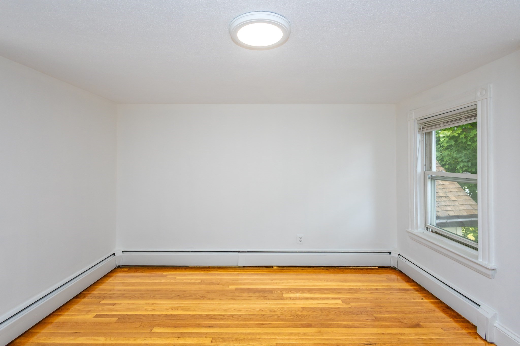 289 Milton St Property Photo 22