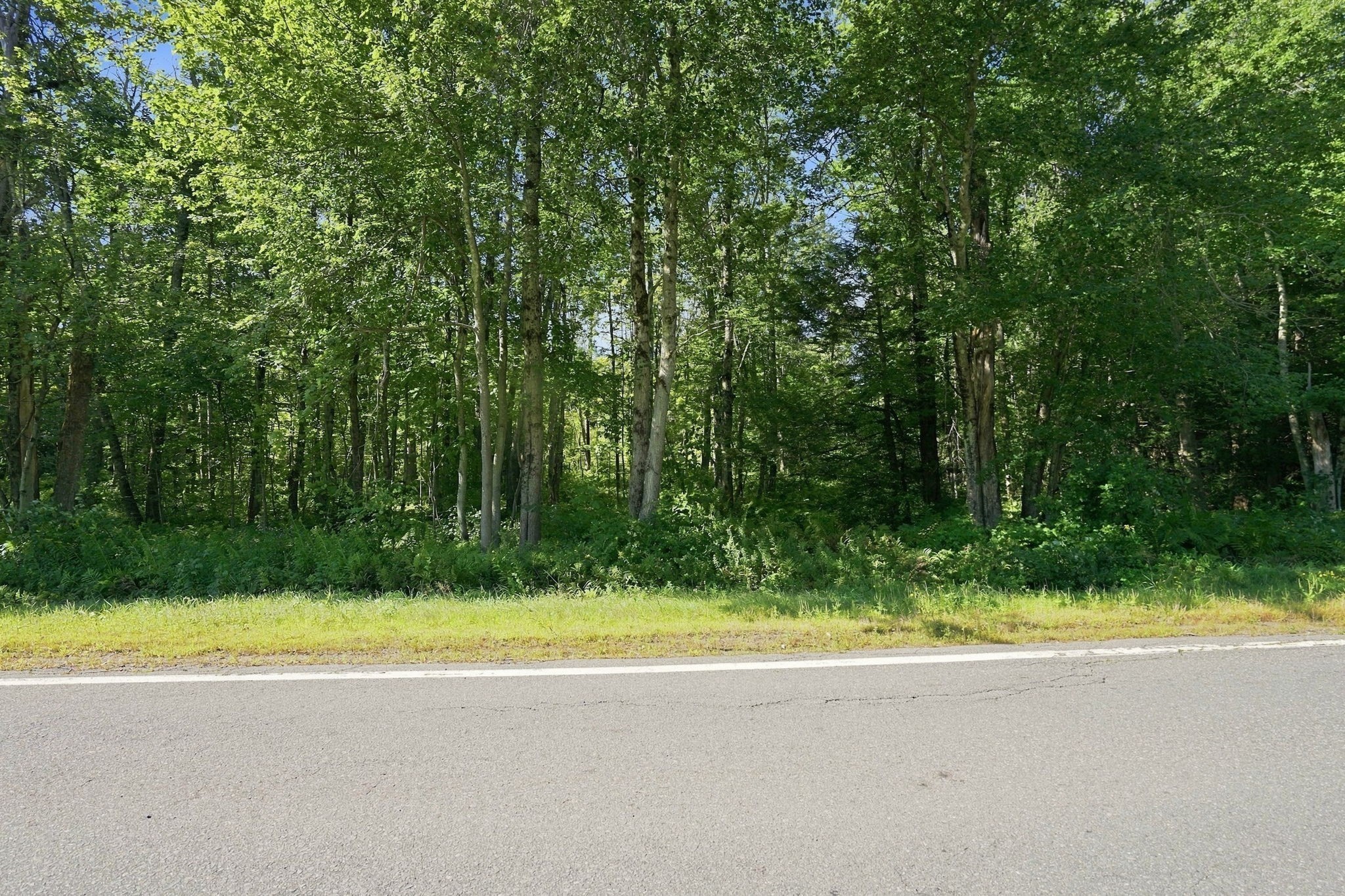 32 Berkshire Trail E Property Photo 1