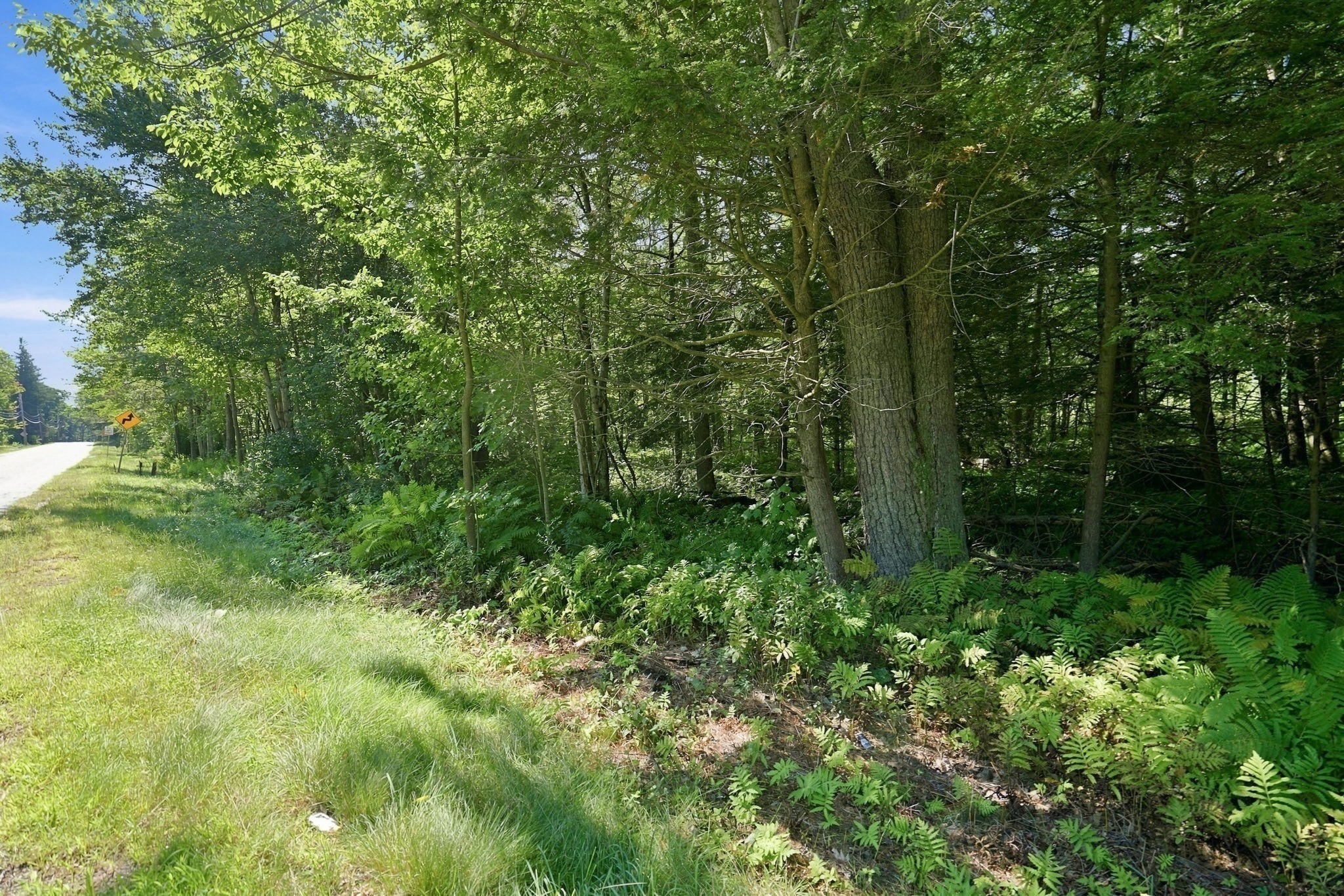 32 Berkshire Trail E Property Photo 3