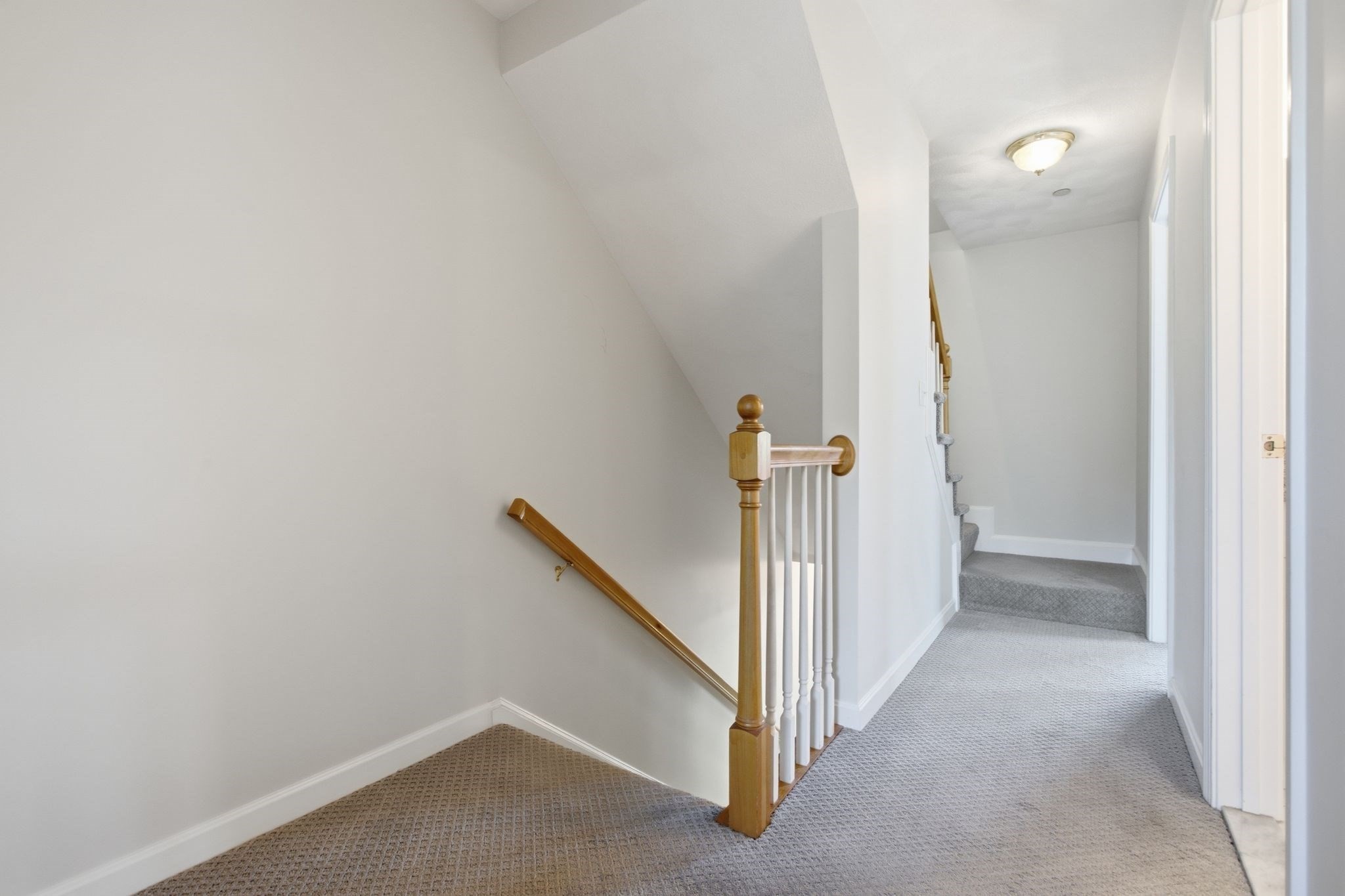 252 Albion St # 24 Property Photo 23