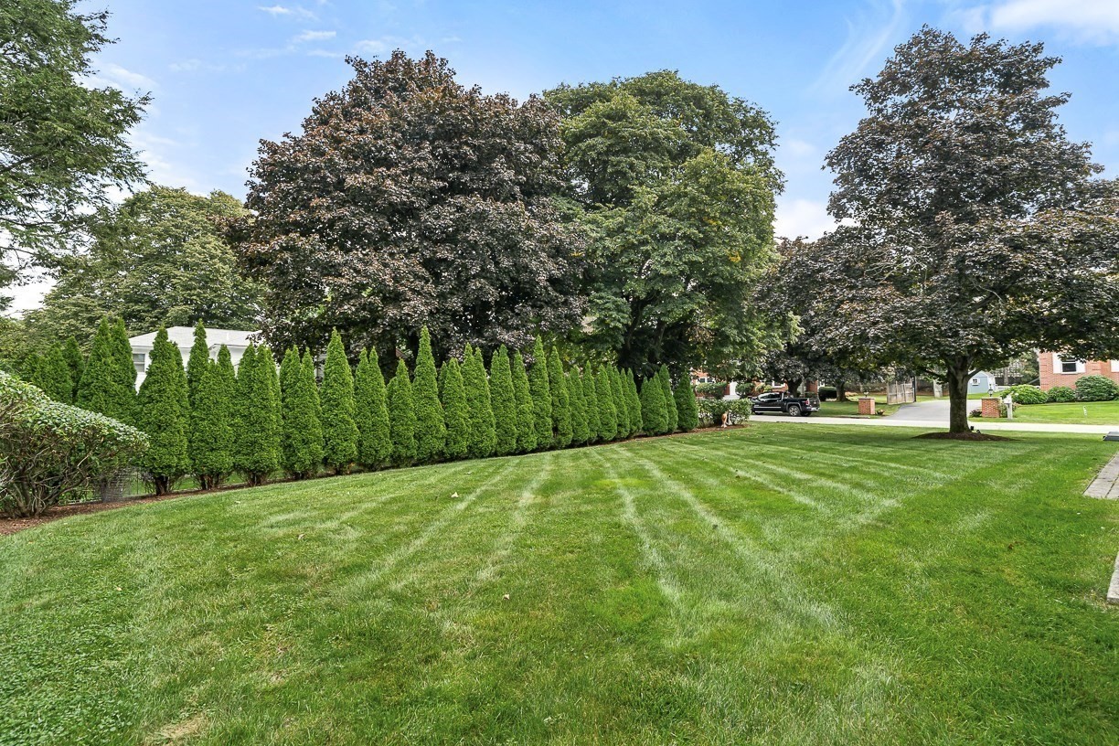 37 Mayflower Road Property Photo 3