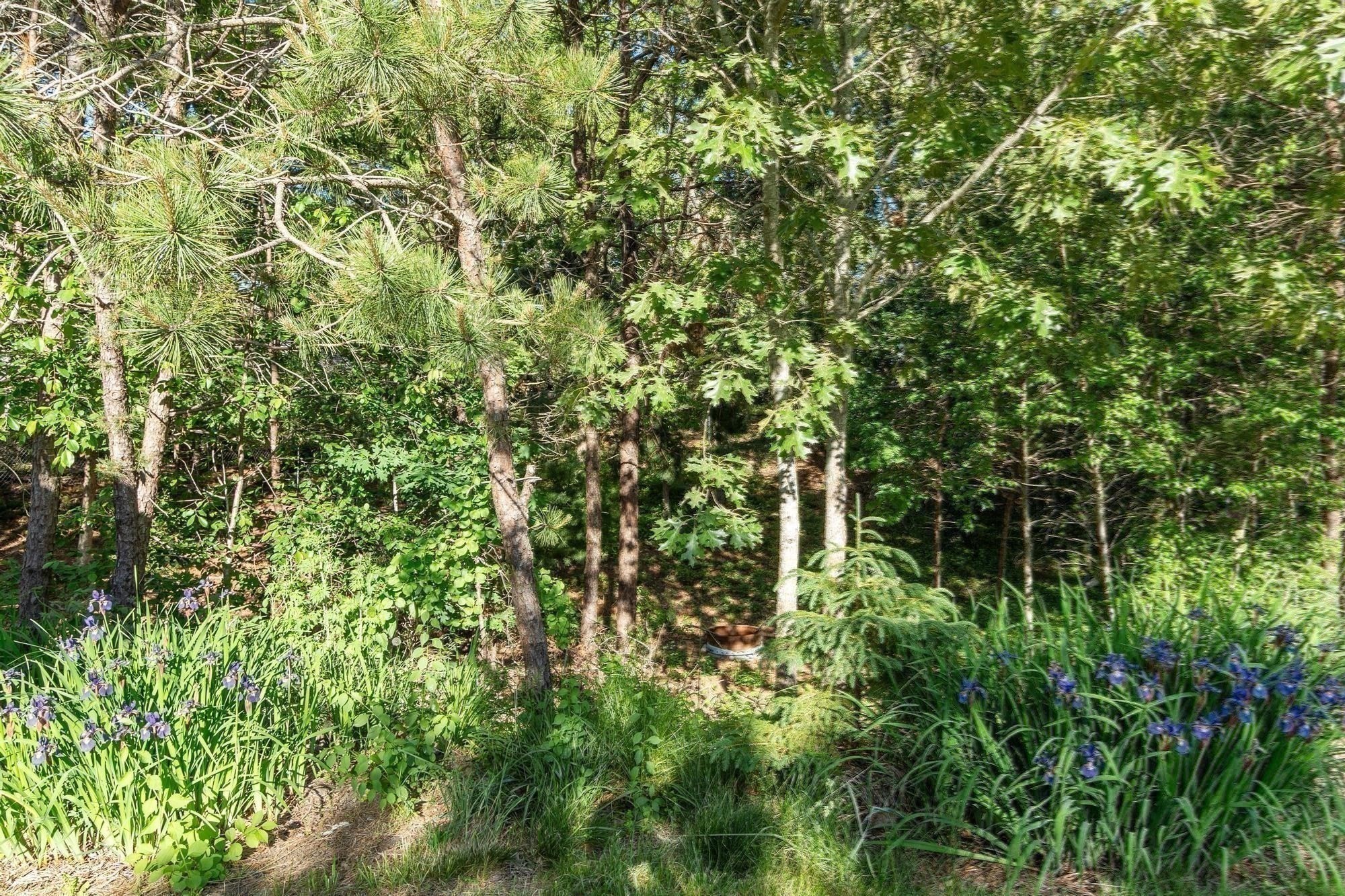 131 Nathan Ln Property Photo 32