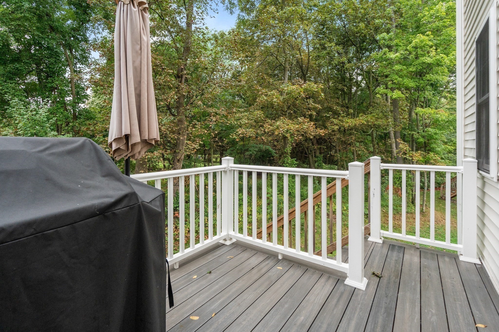 65 Castine St. Property Photo 30