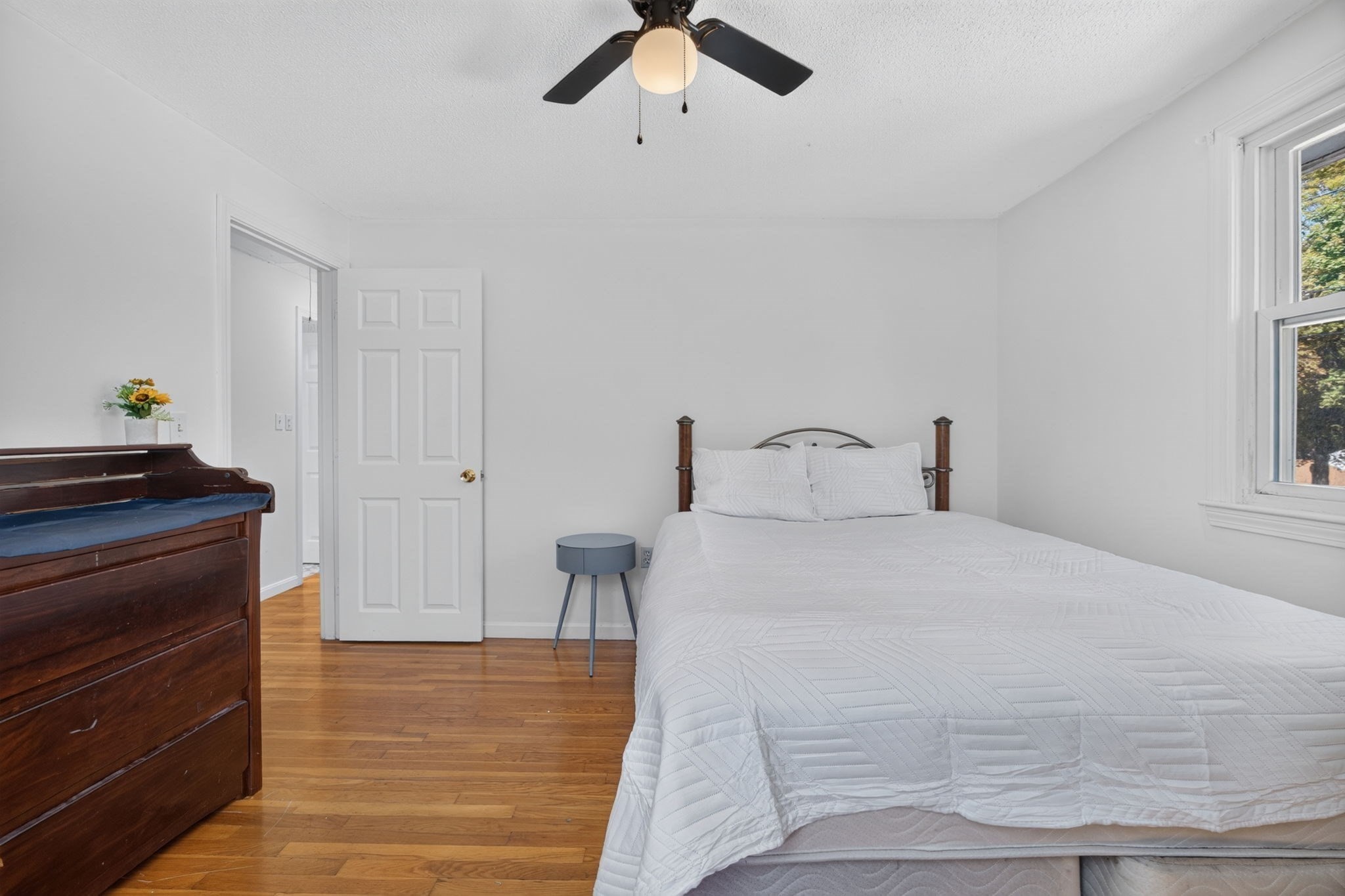 11 Hartford St Property Photo 22