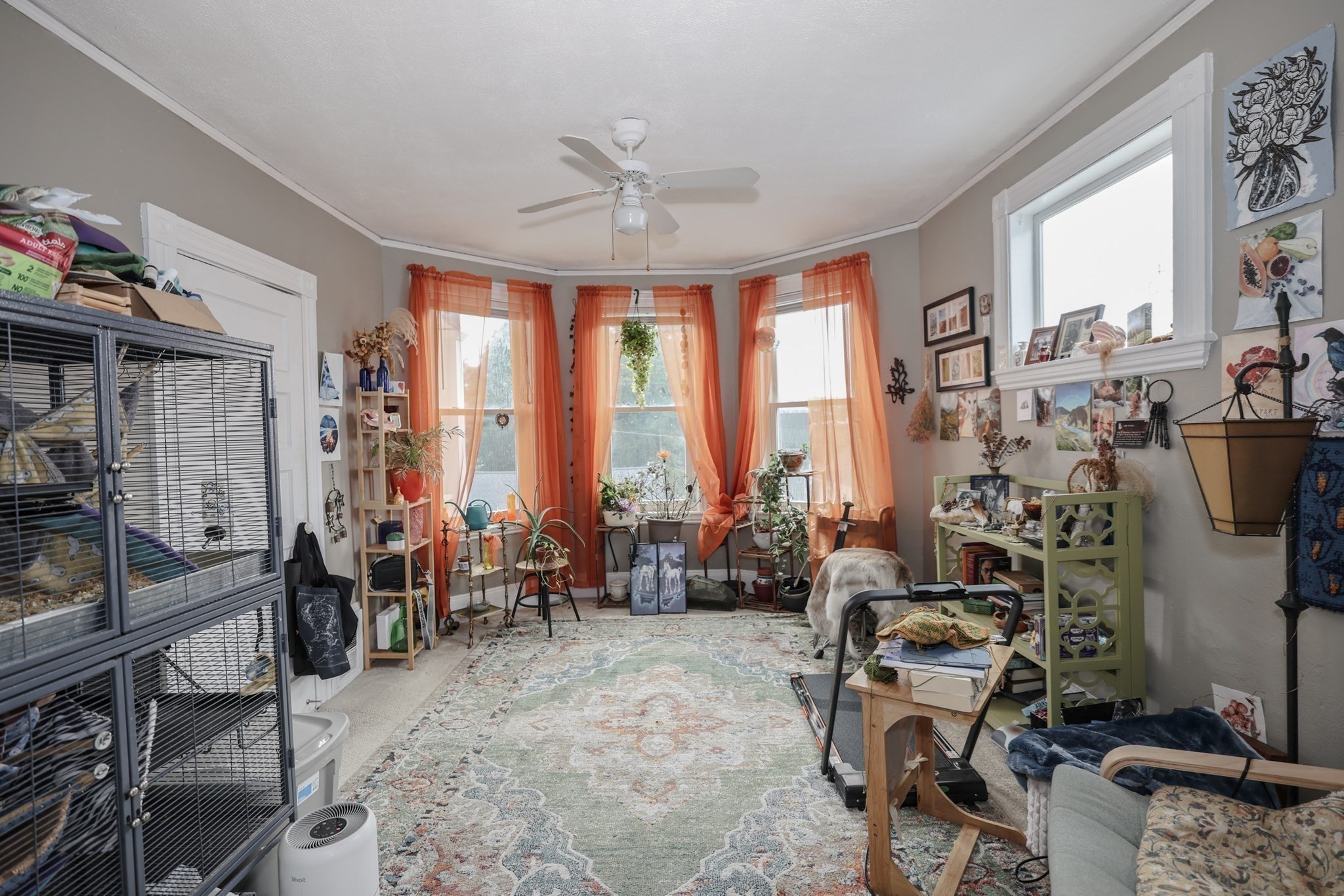19 Sturgis St Property Photo 12
