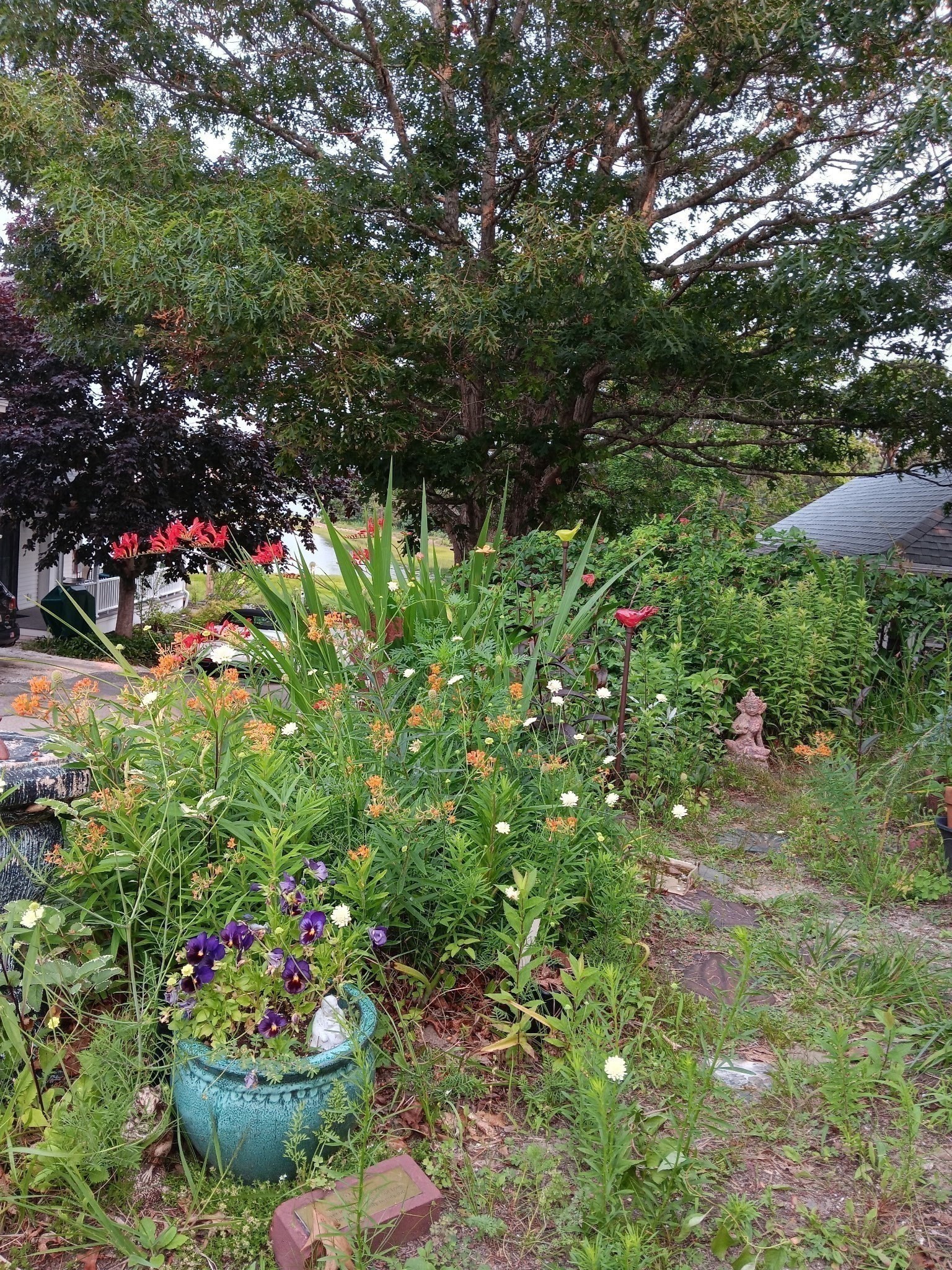 15 3rd St Property Photo 22