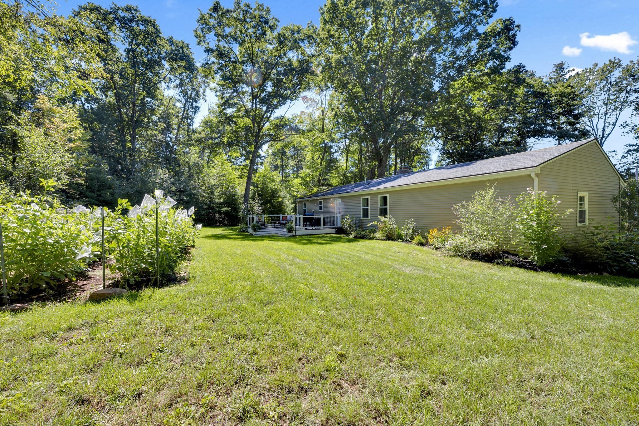 6 Barrett Rd Property Photo 21