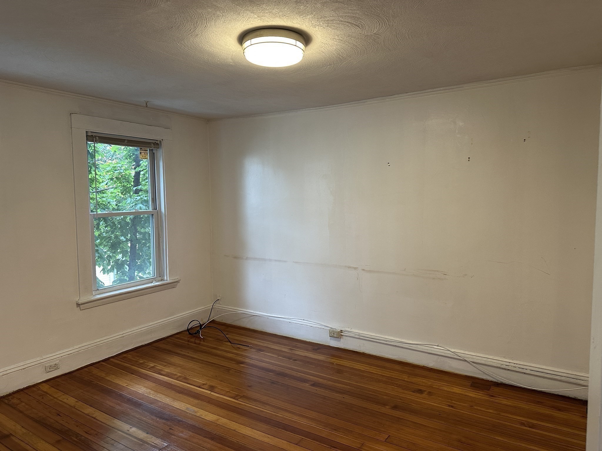 17 George St Property Photo 14