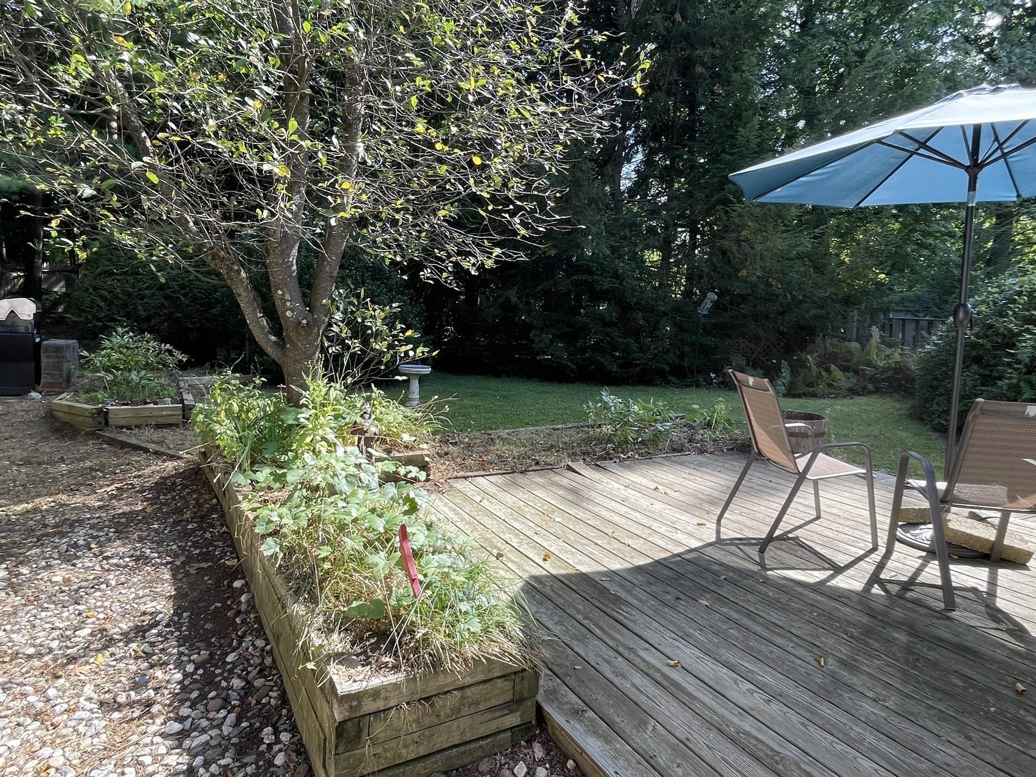 9 Pine Brook Curve Property Photo 19