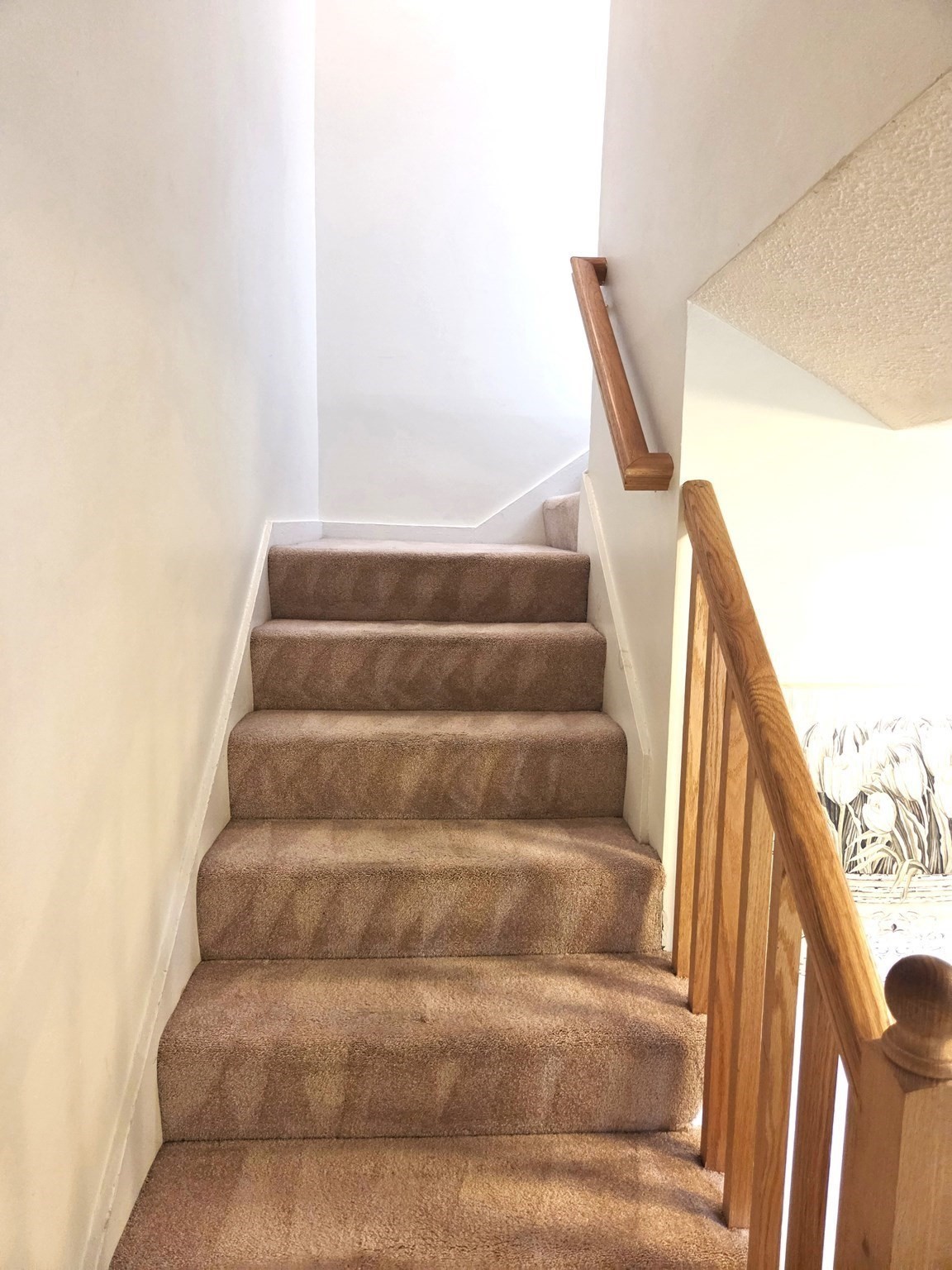 9 Adams St. # 10 Property Photo 11