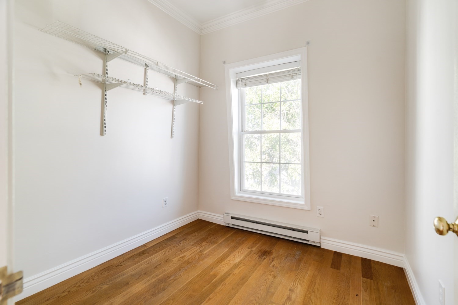 47 Moseley St # 3 Property Photo 15