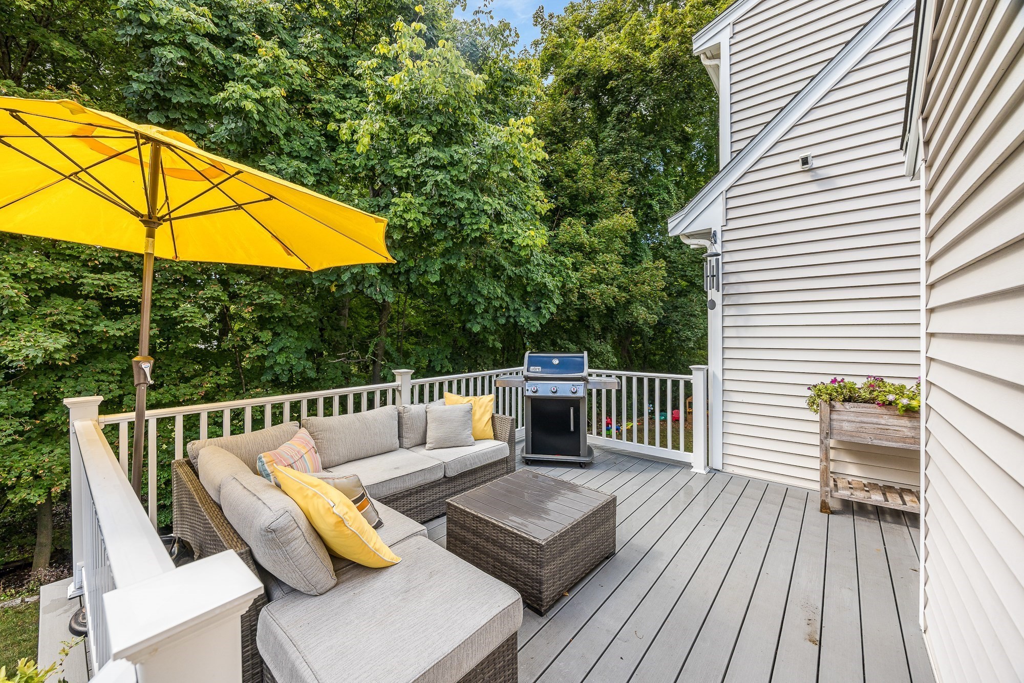 51 Hopkins Street Property Photo 12