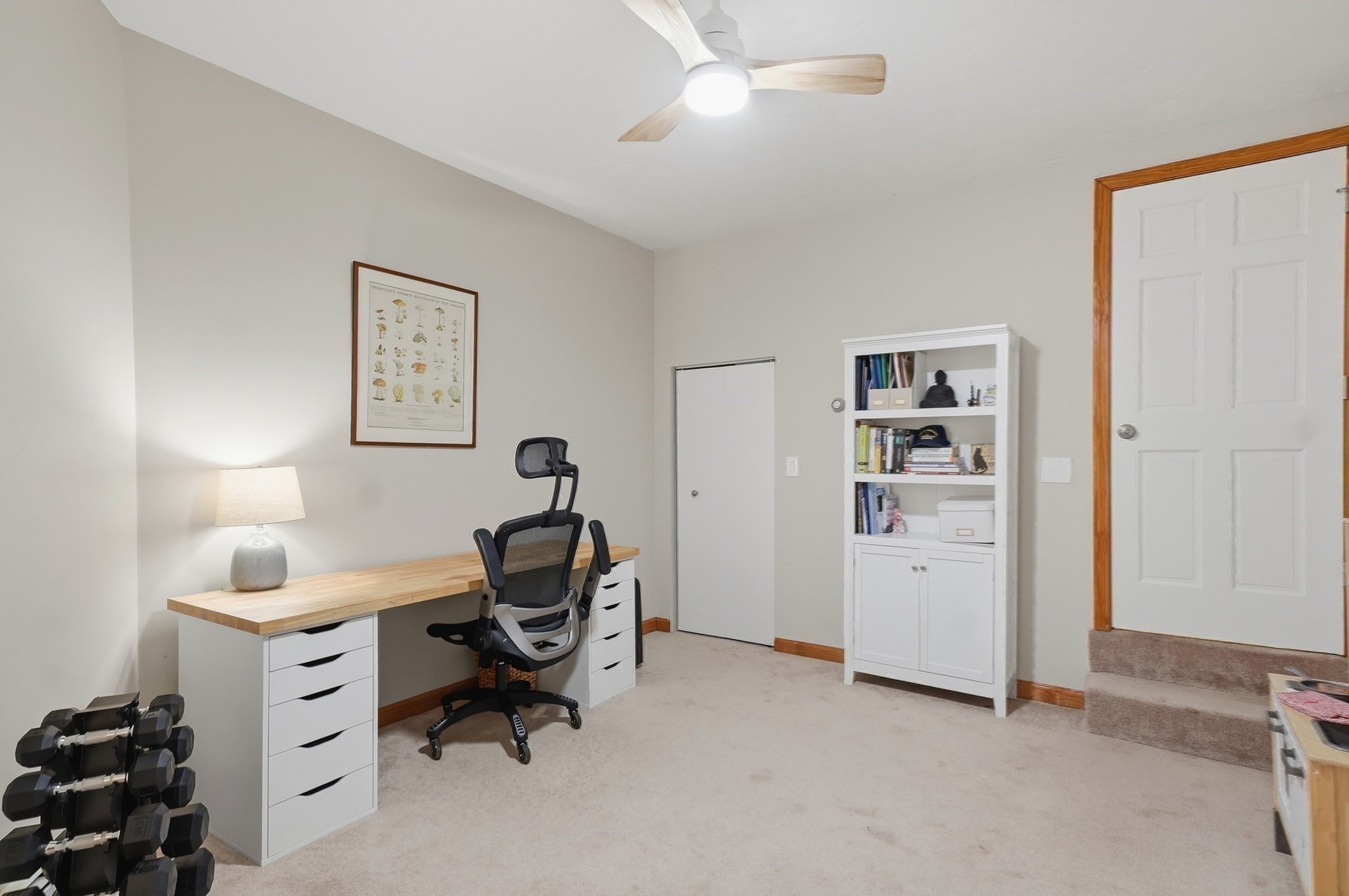 5 Candice Court # 1 Property Photo 25