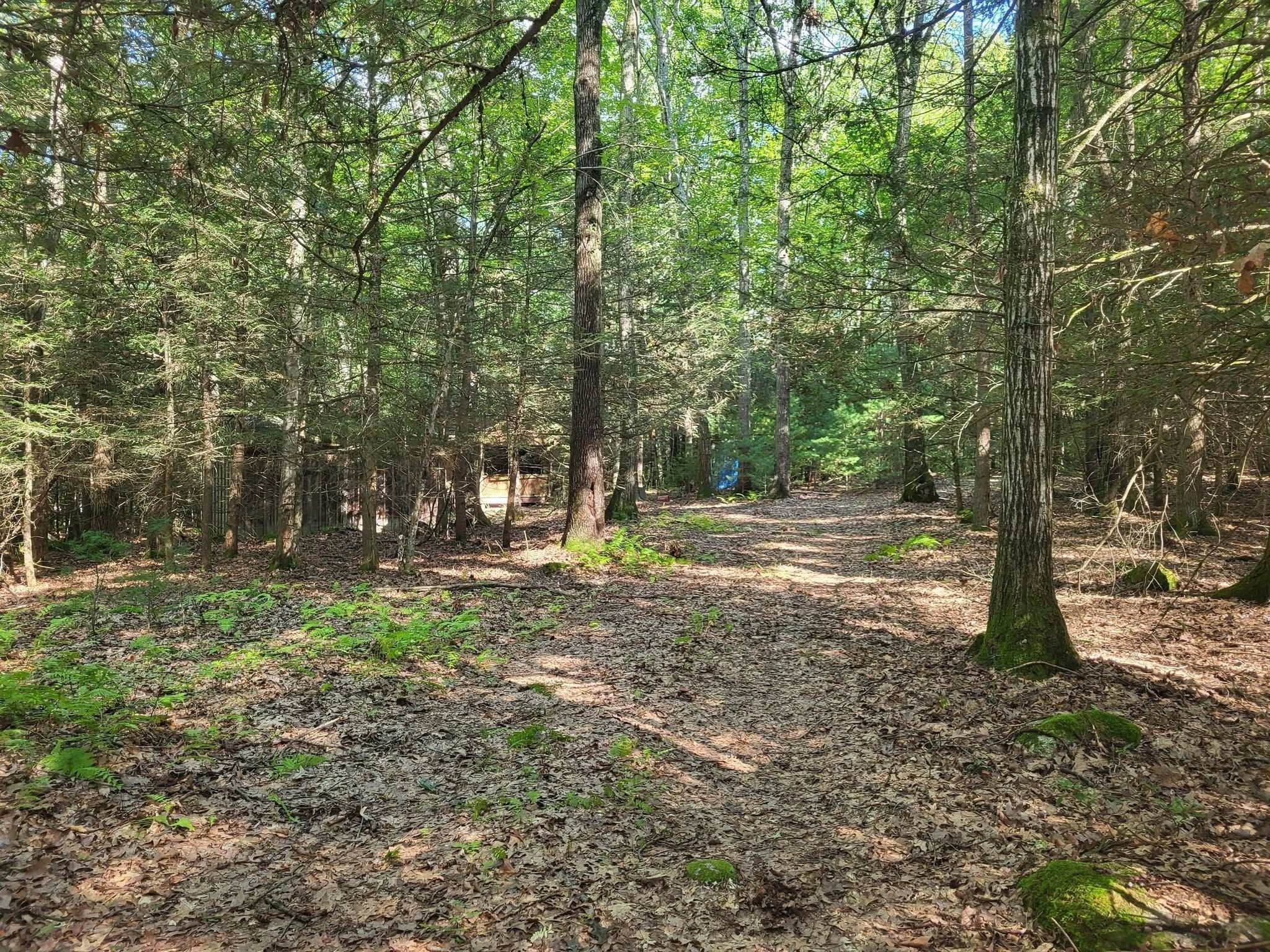 Xo Pole Bridge Rd Property Photo 1