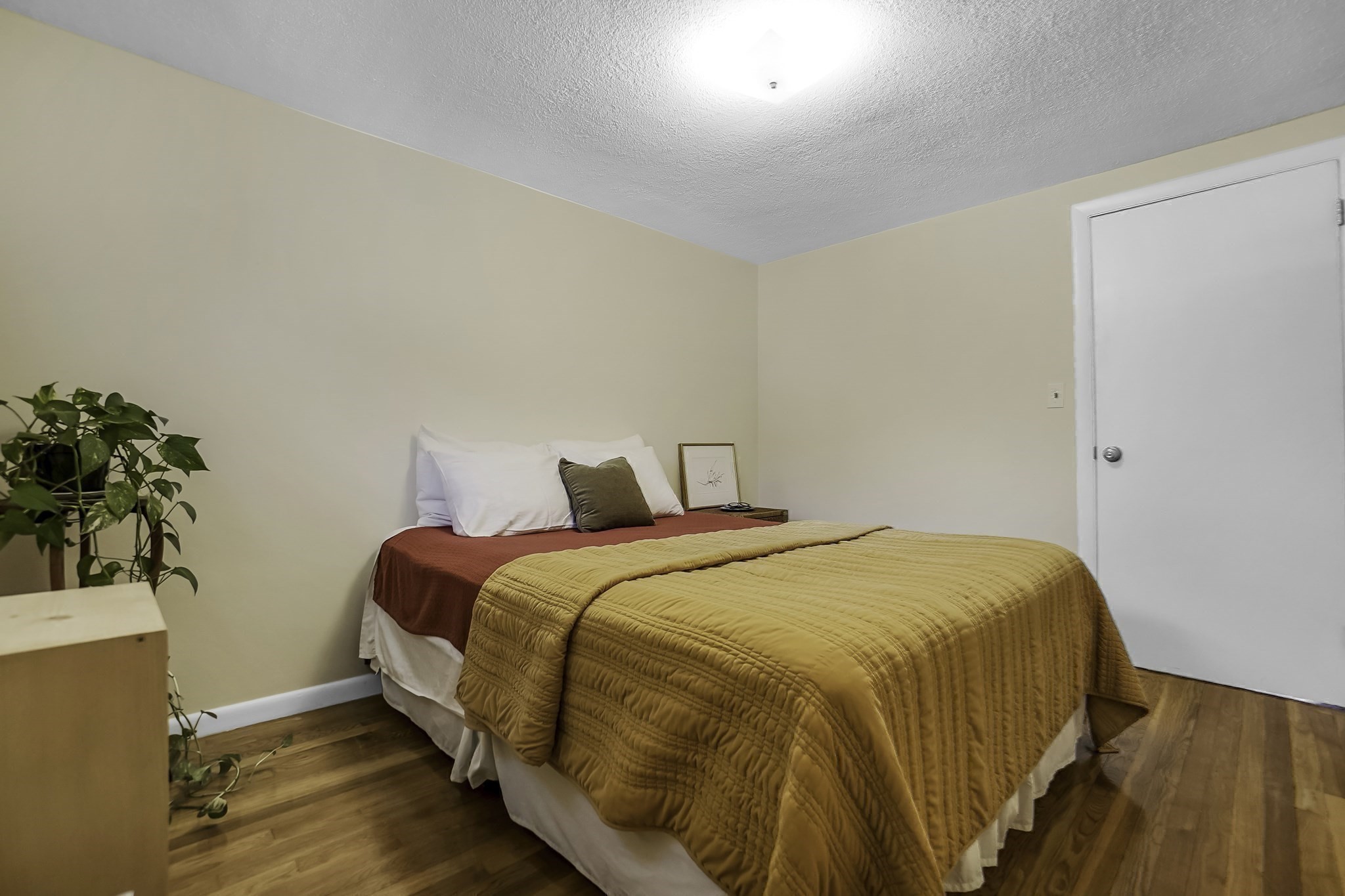 46 Dobbins Street Property Photo 22